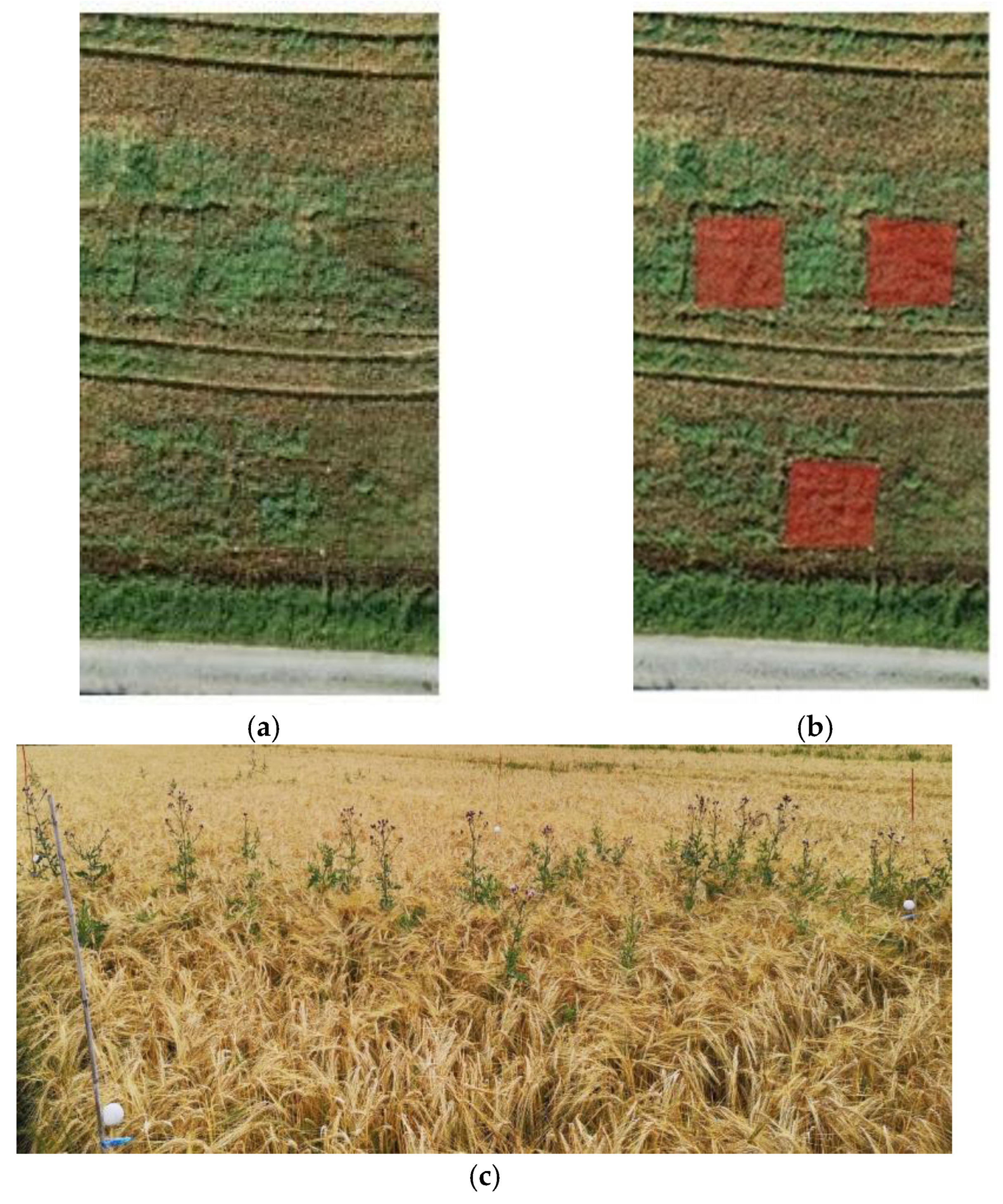 Remotesensing 15 05165 g001 Remotesensing 15 05165 g001