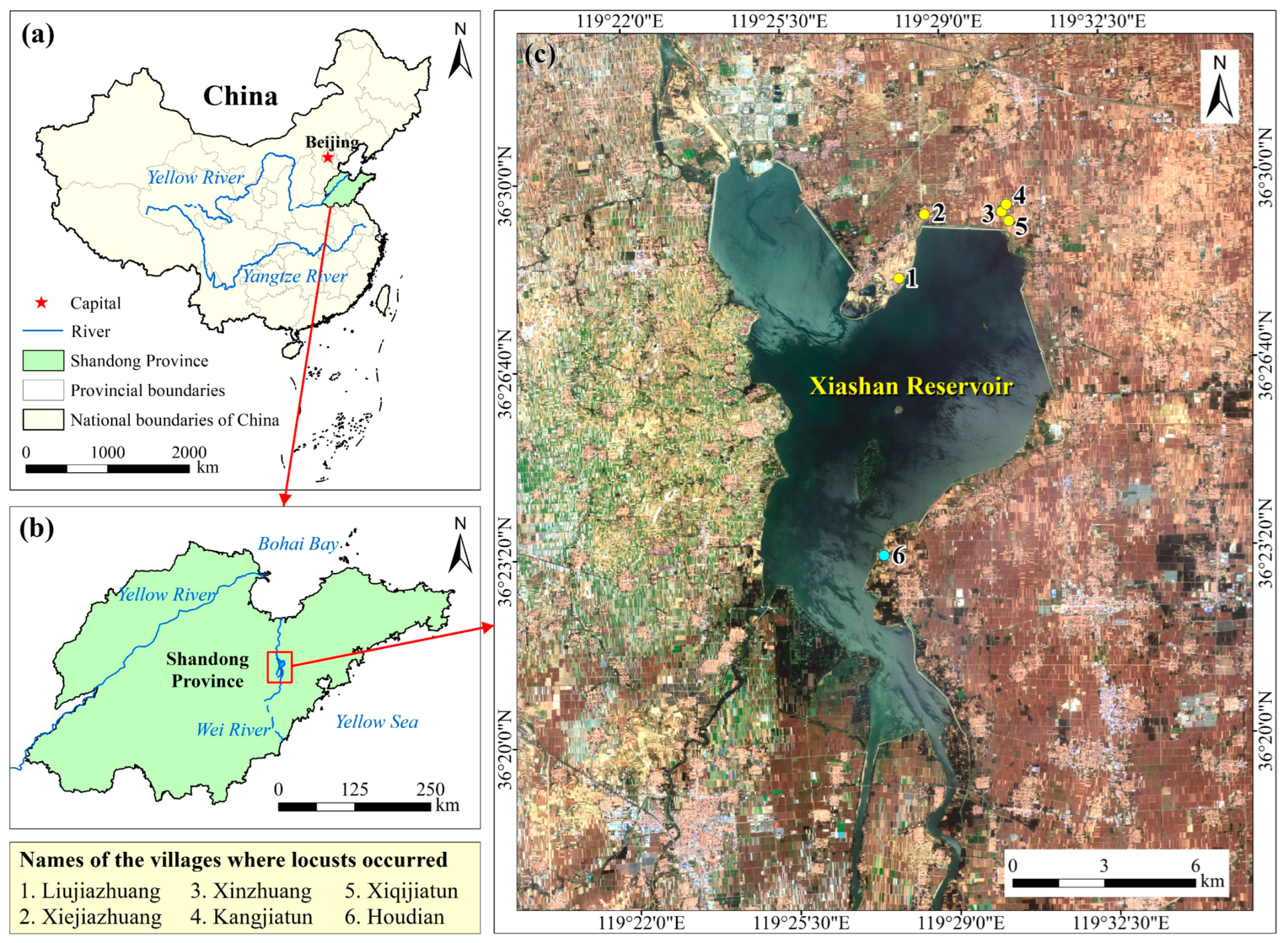 Remotesensing 15 05206 g001