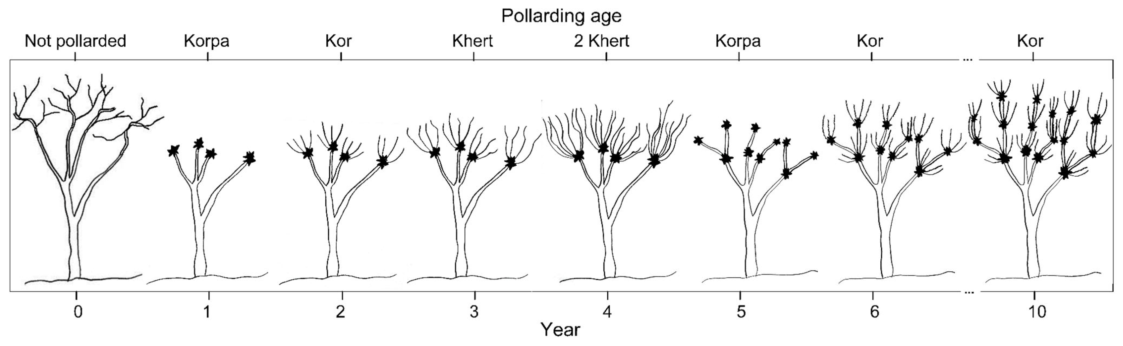 Remotesensing 15 05261 g001 Remotesensing 15 05261 g001