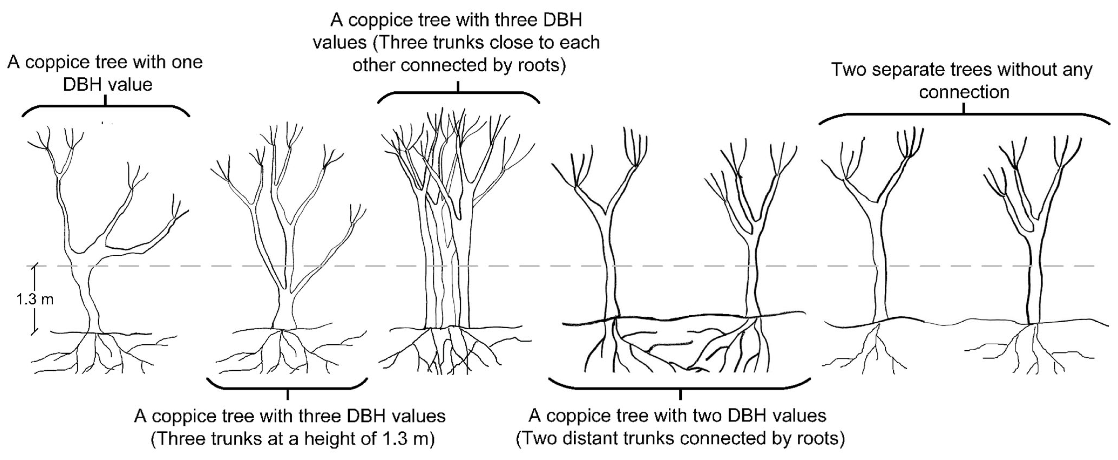 Remotesensing 15 05261 g003 Remotesensing 15 05261 g003