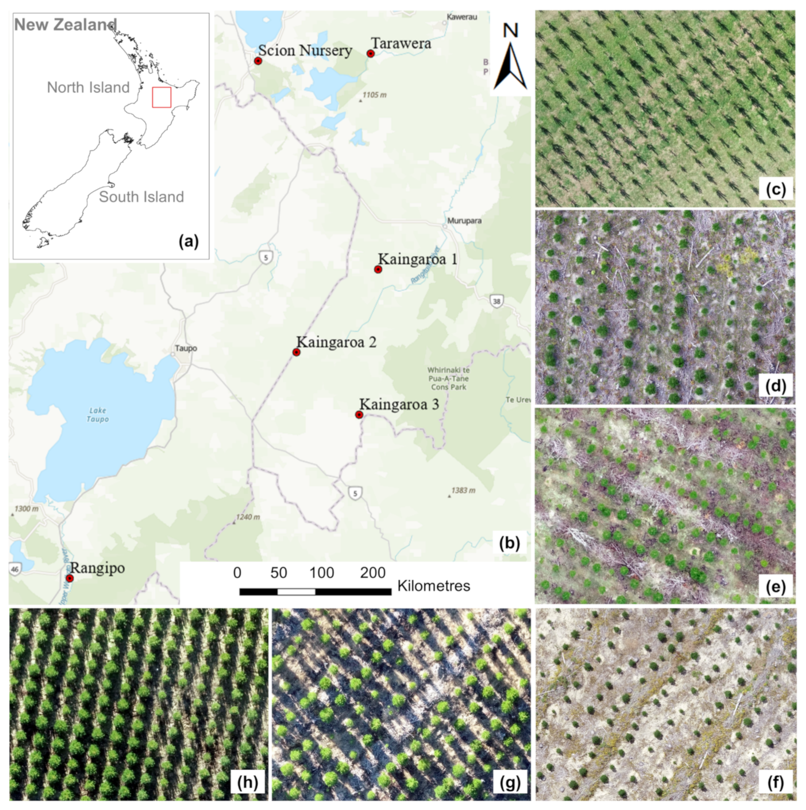 Remotesensing 15 05276 g001