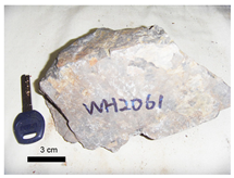 Remotesensing 15 05334 i004