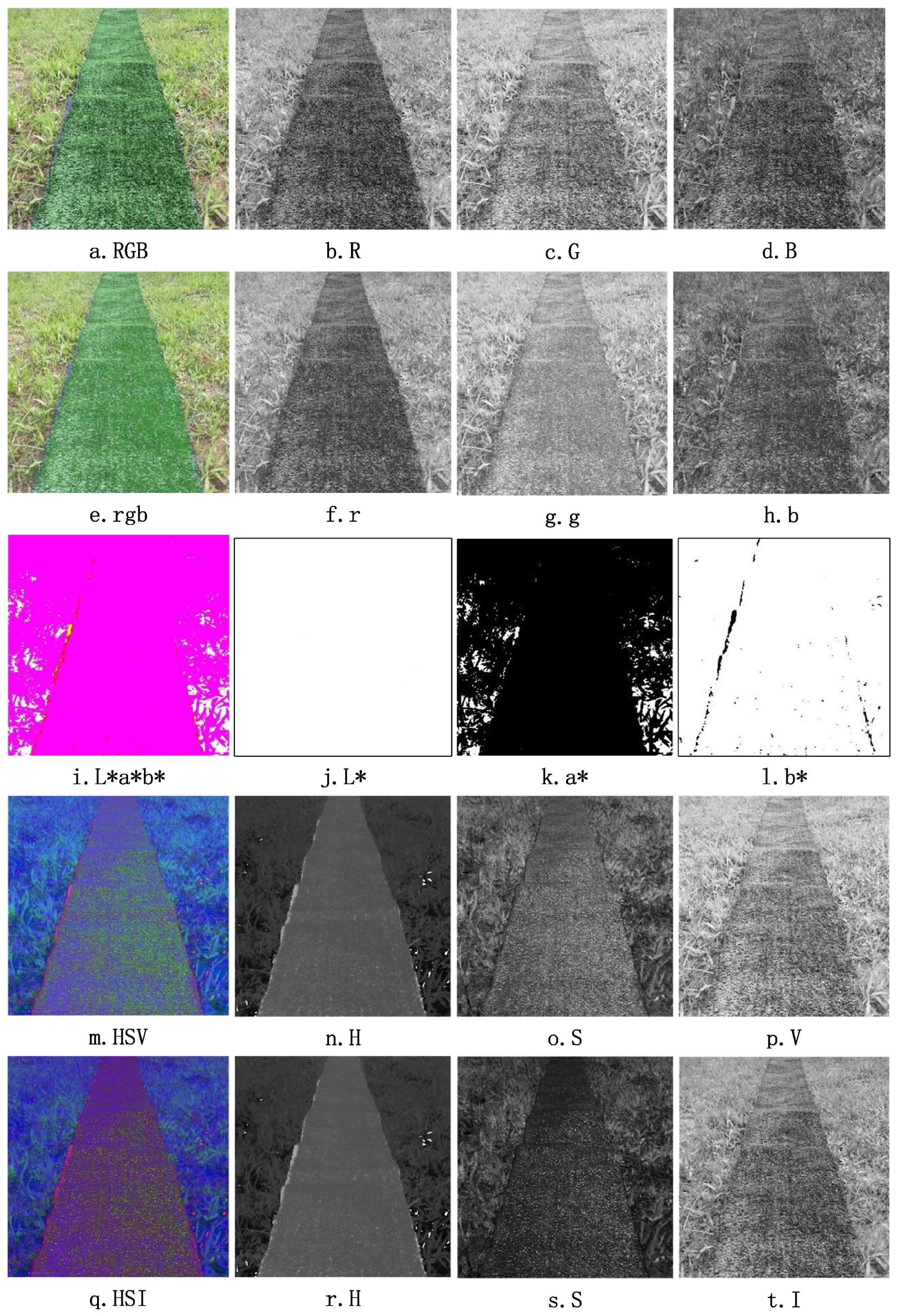 Remotesensing 15 05402 g010