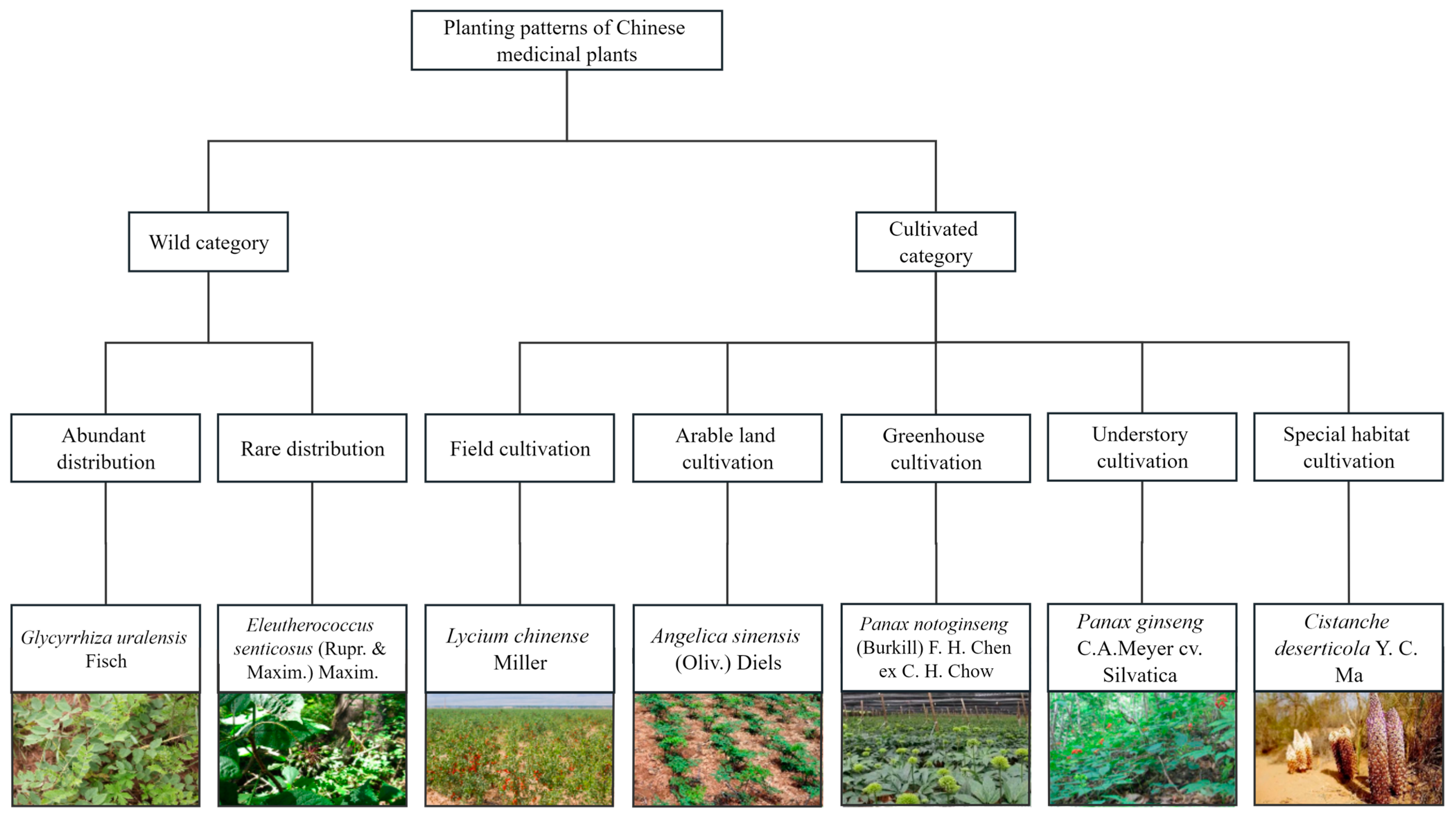 Remotesensing 15 05580 g002