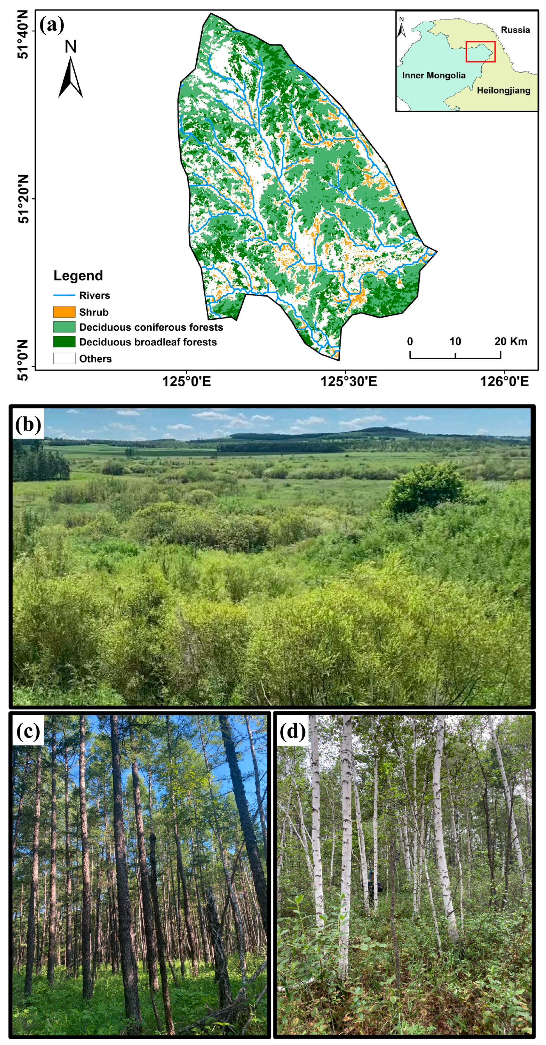 Remotesensing 15 05582 g001