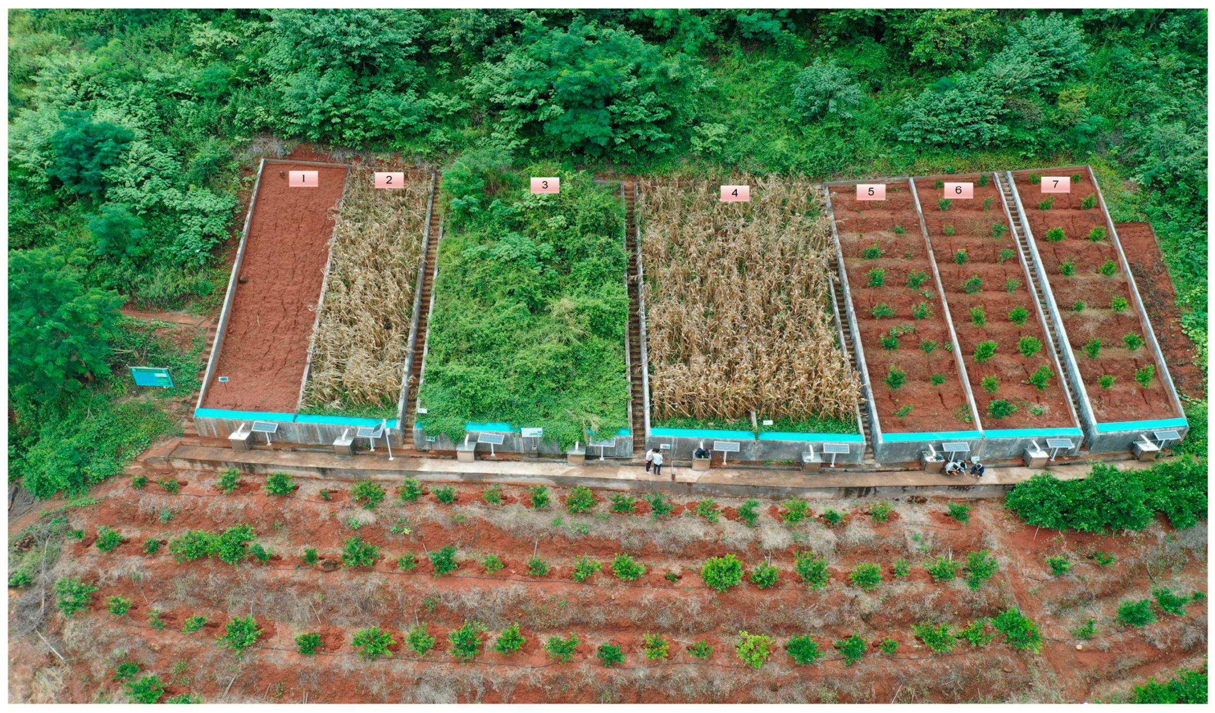 Remotesensing 15 05613 g001