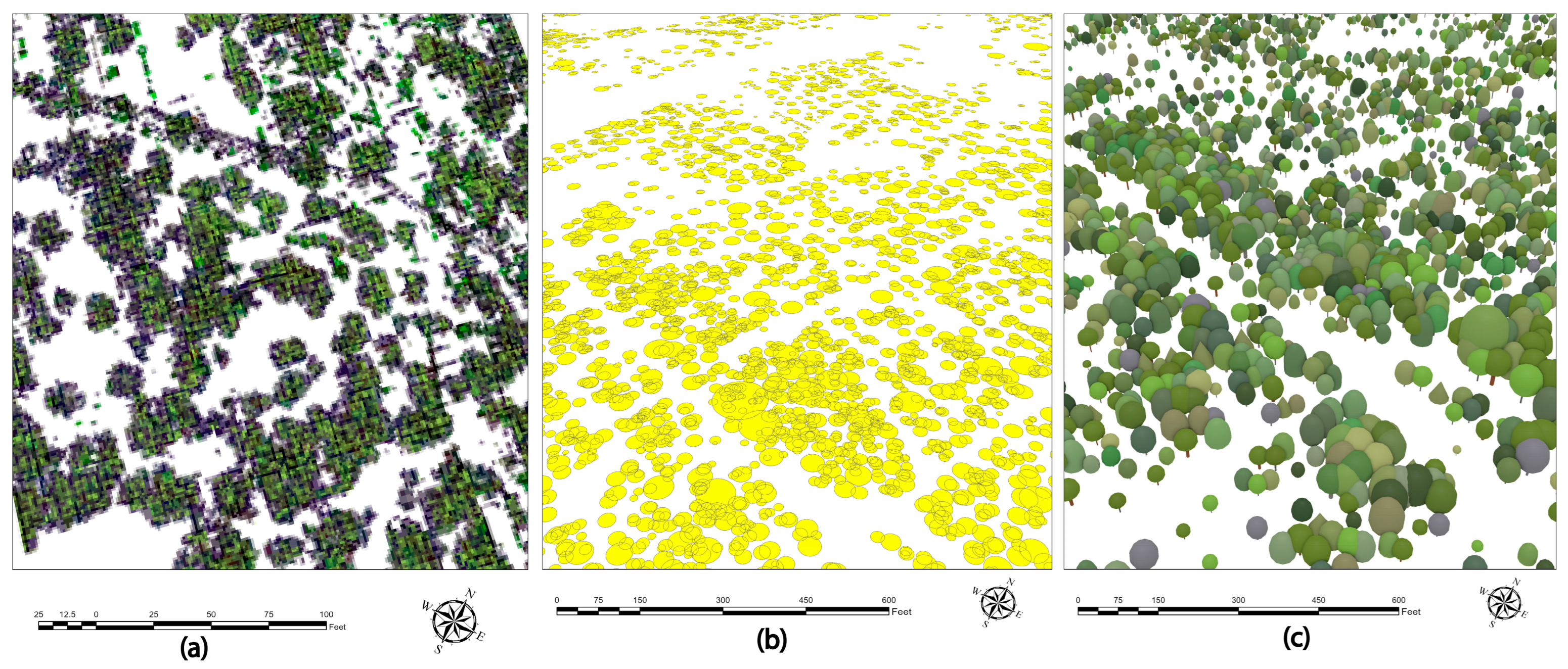 Remotesensing 15 05616 g004
