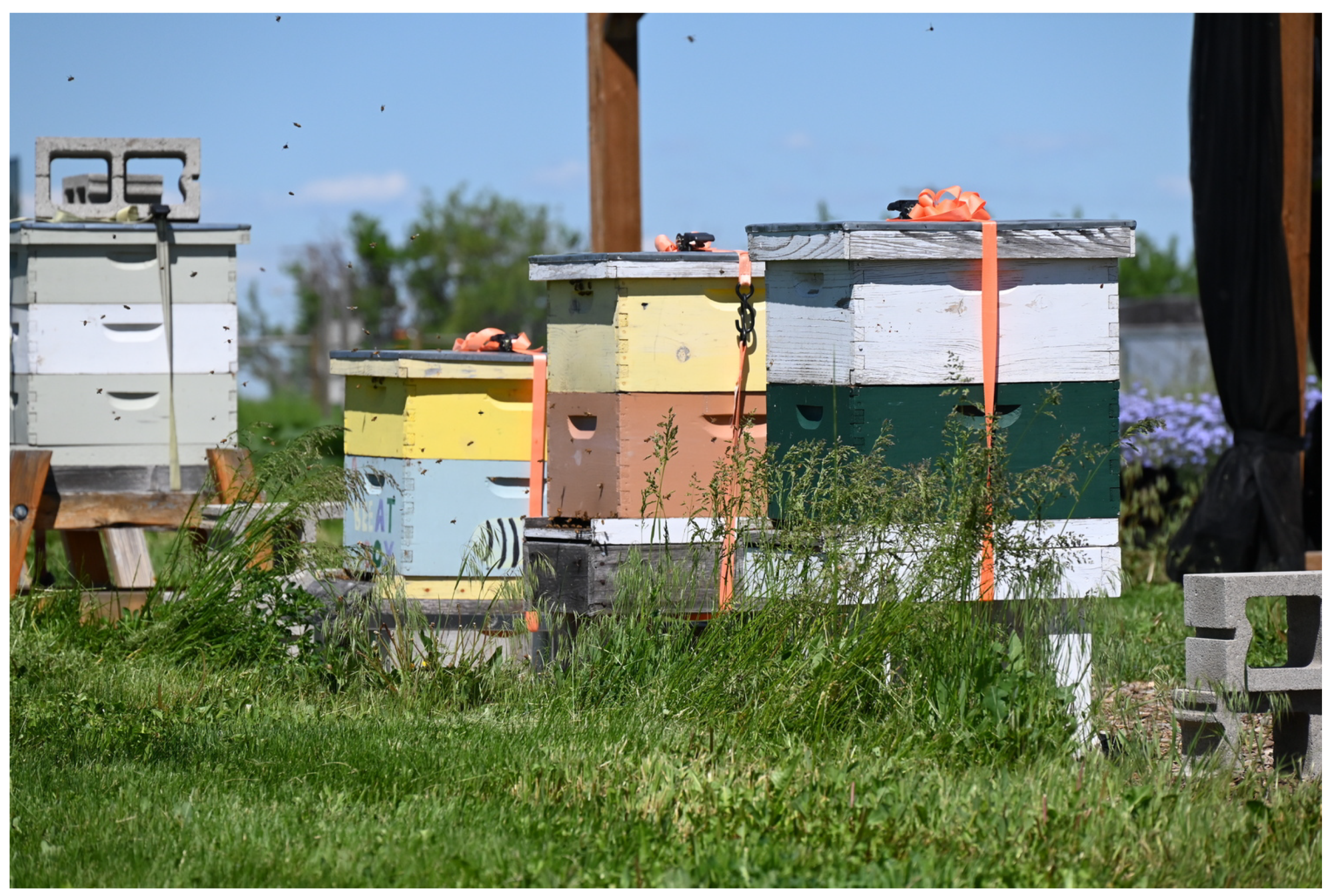 Remotesensing 15 05634 g006