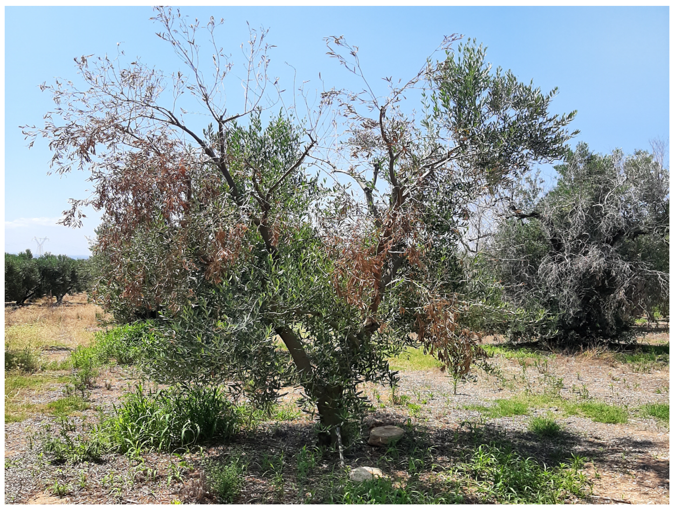 Remotesensing 15 05683 g002