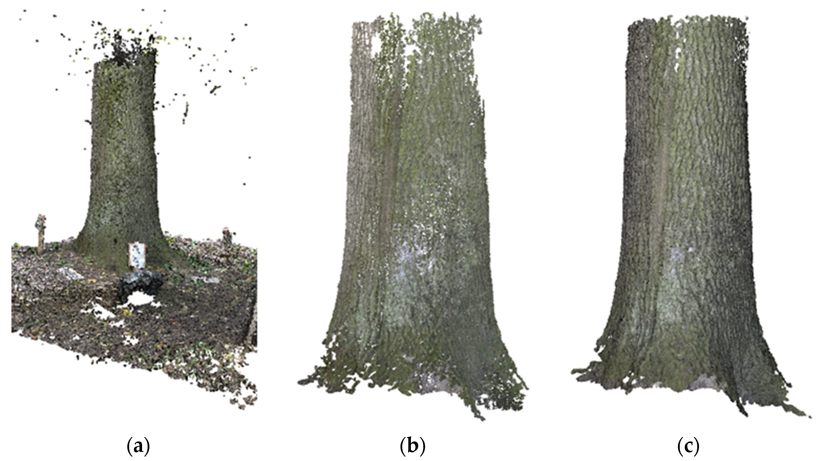 Remotesensing 15 05712 g006