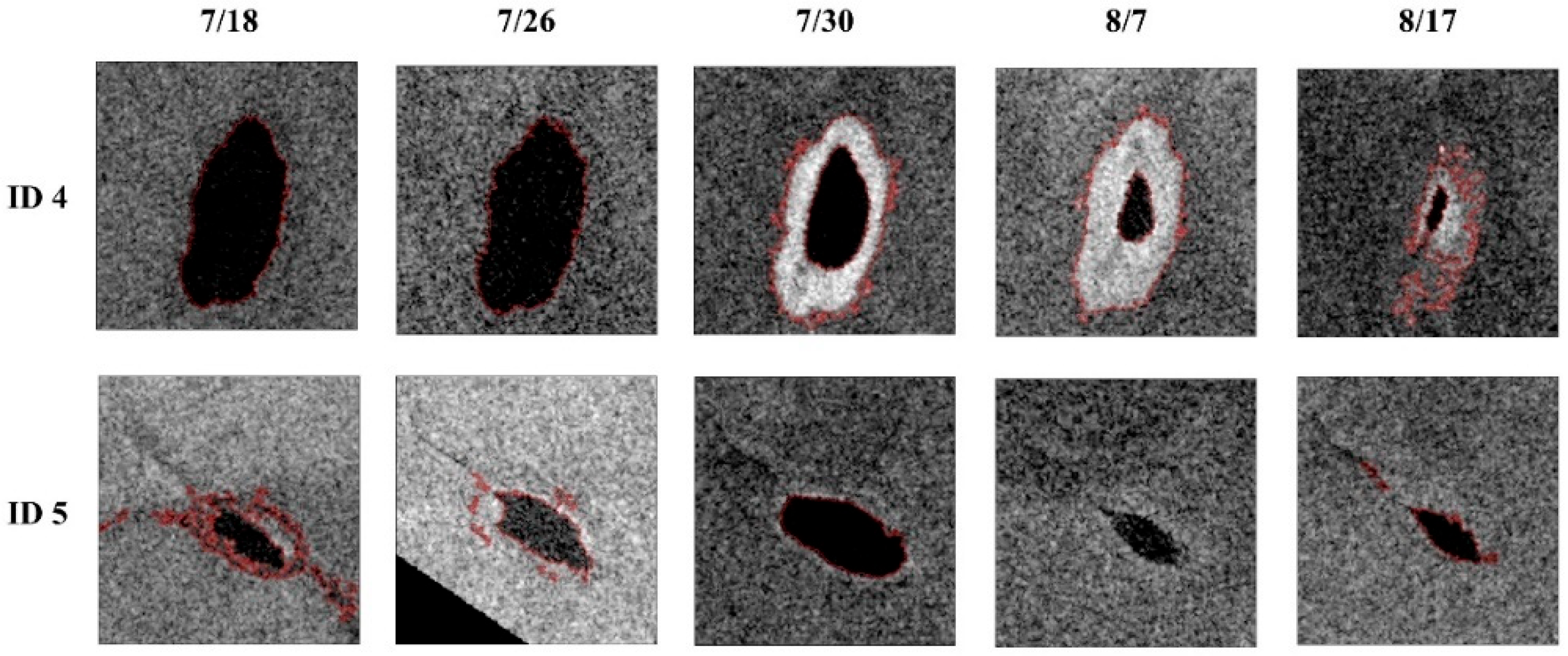 Remotesensing 15 05726 g005