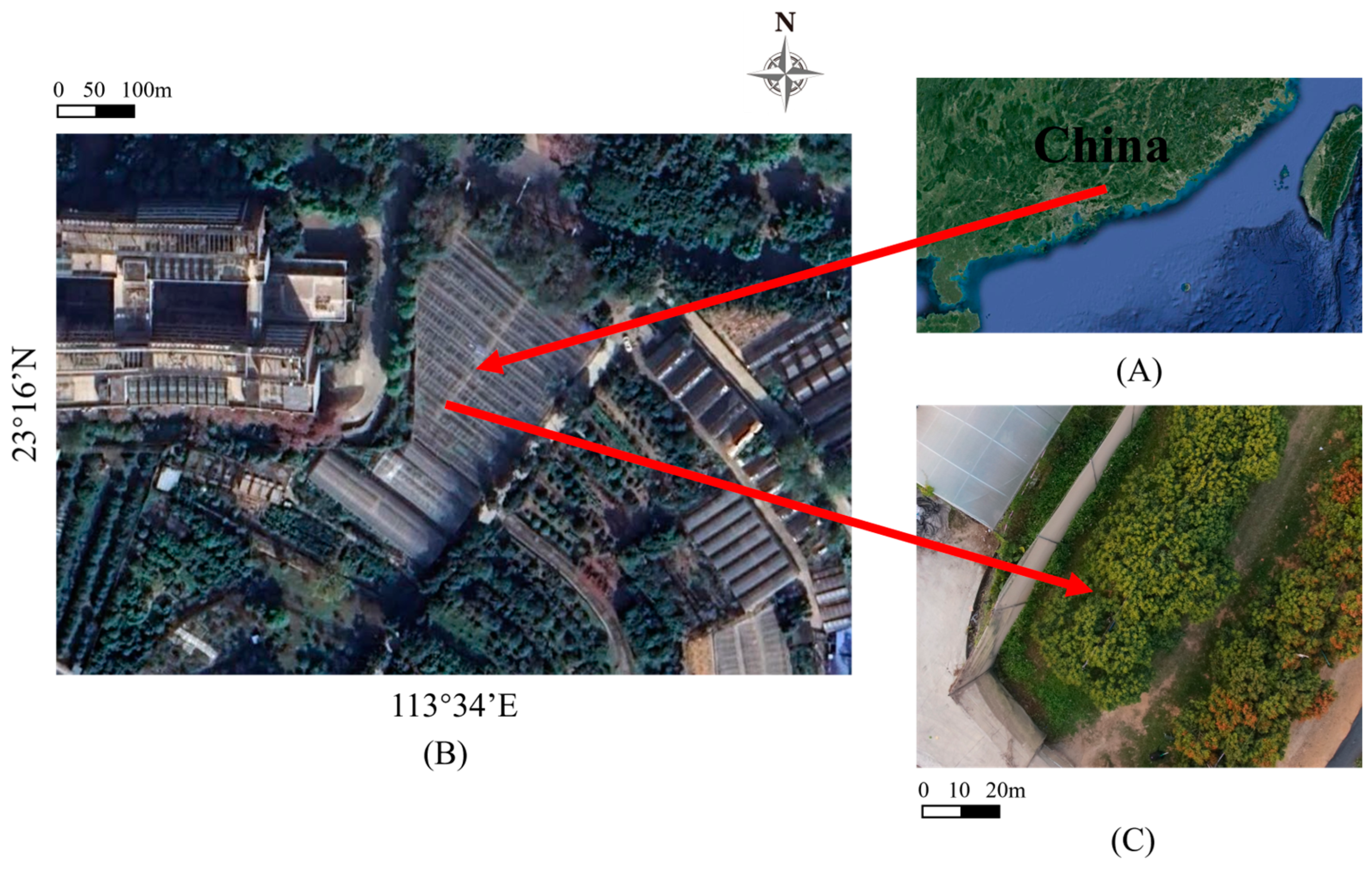 Remotesensing 15 05767 g001