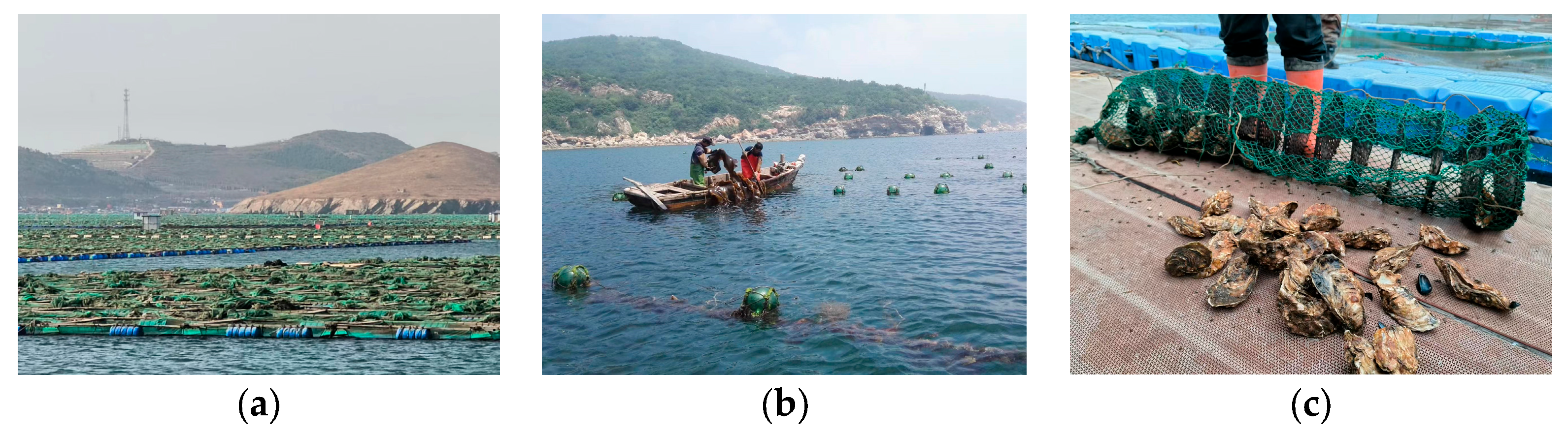 Remotesensing 15 05781 g003