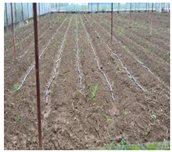 Remotesensing 15 05783 i002