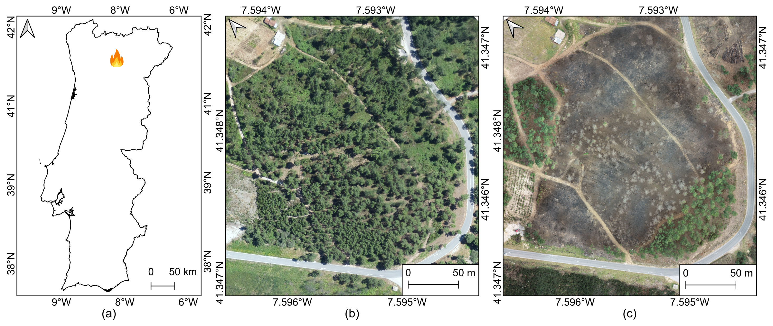 Remotesensing 16 00030 g001