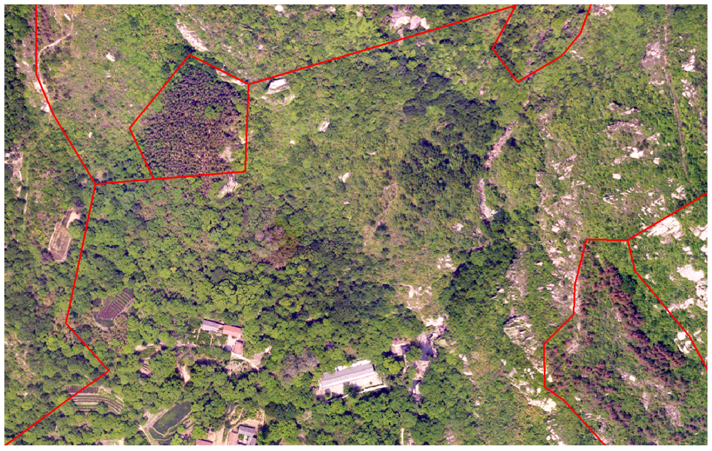 Remotesensing 16 00031 g003