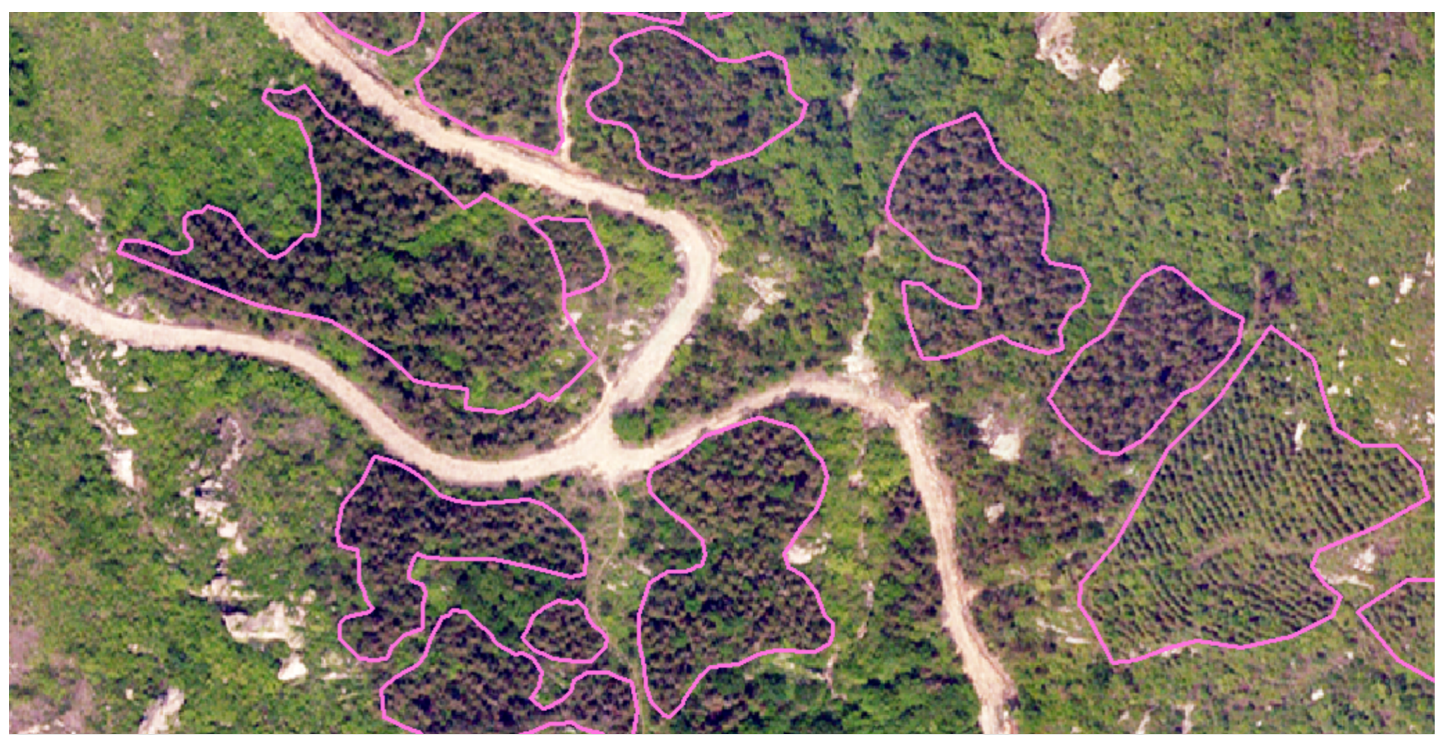 Remotesensing 16 00031 g004