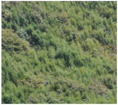 Remotesensing 16 00031 i001