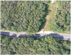 Remotesensing 16 00031 i002