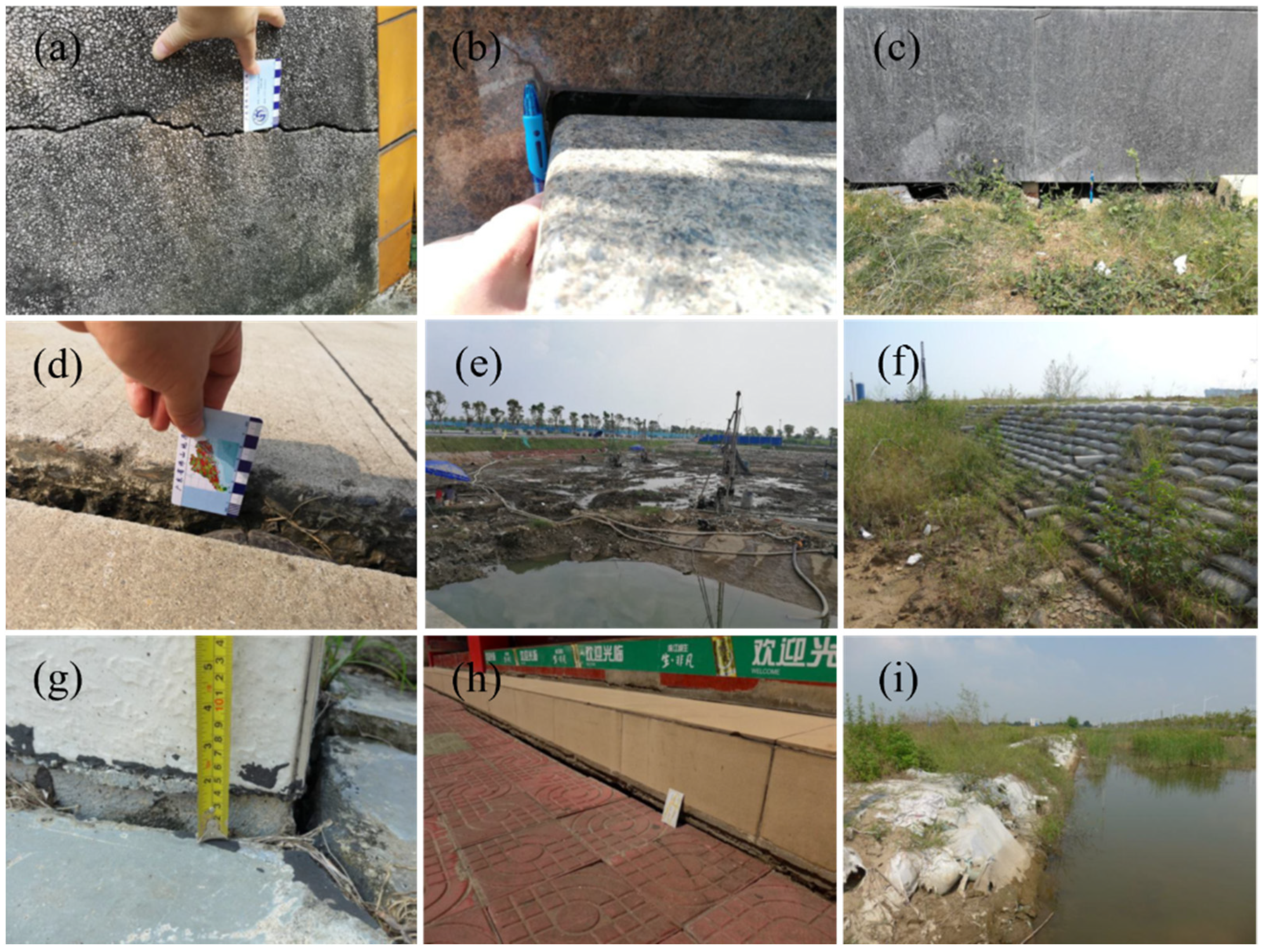 Remotesensing 16 00055 g009