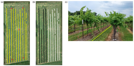 Remotesensing 16 00061 g003