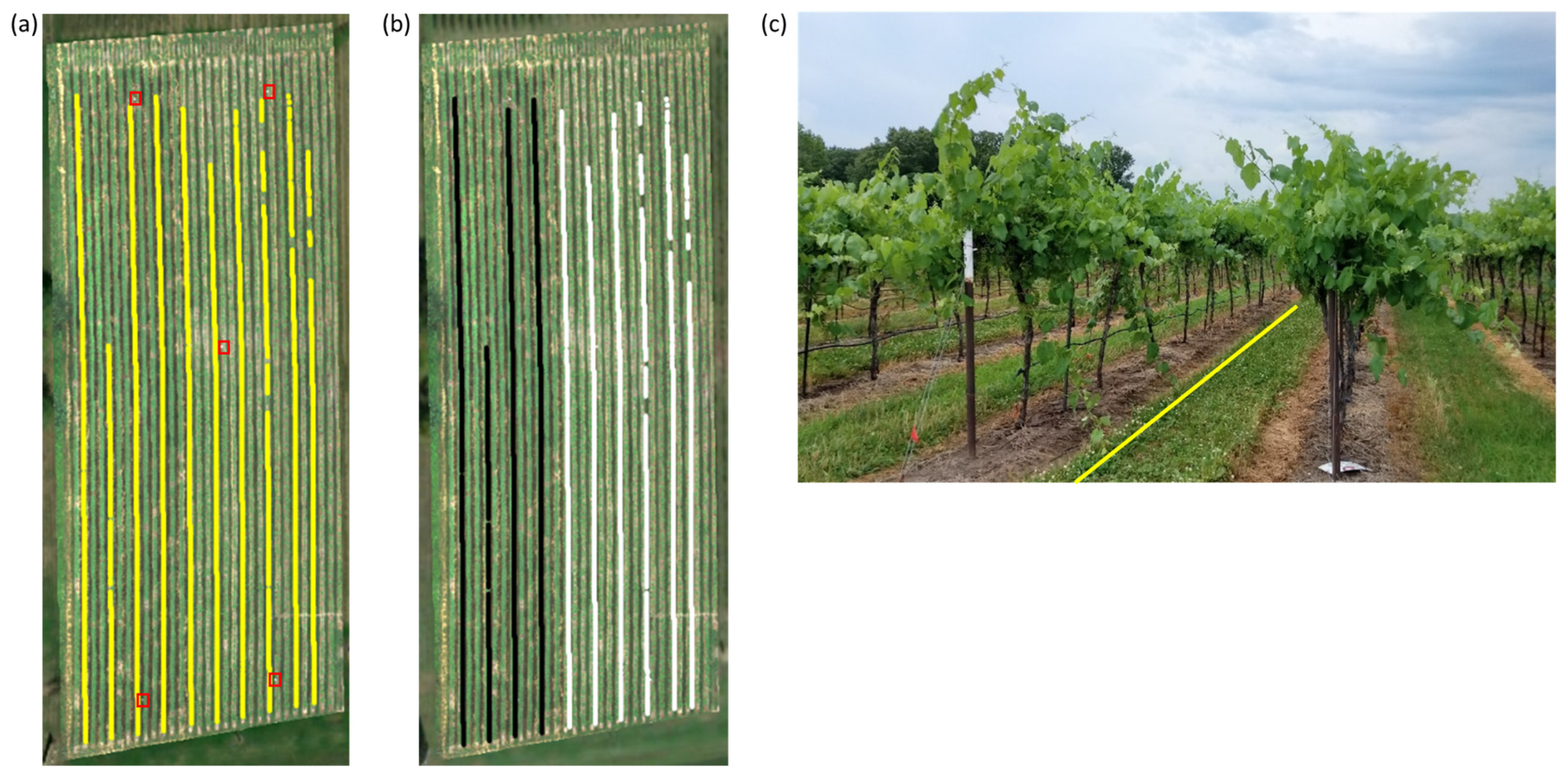 Remotesensing 16 00061 g003