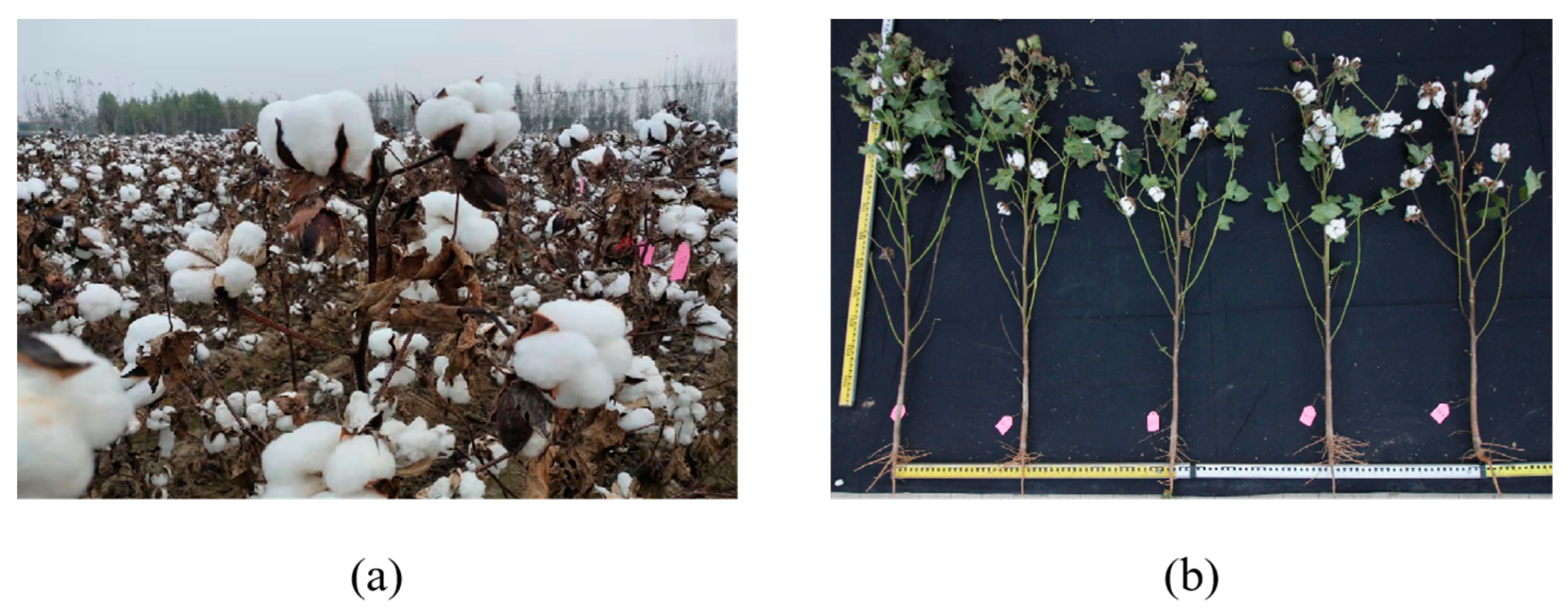 Remotesensing 16 00132 g002