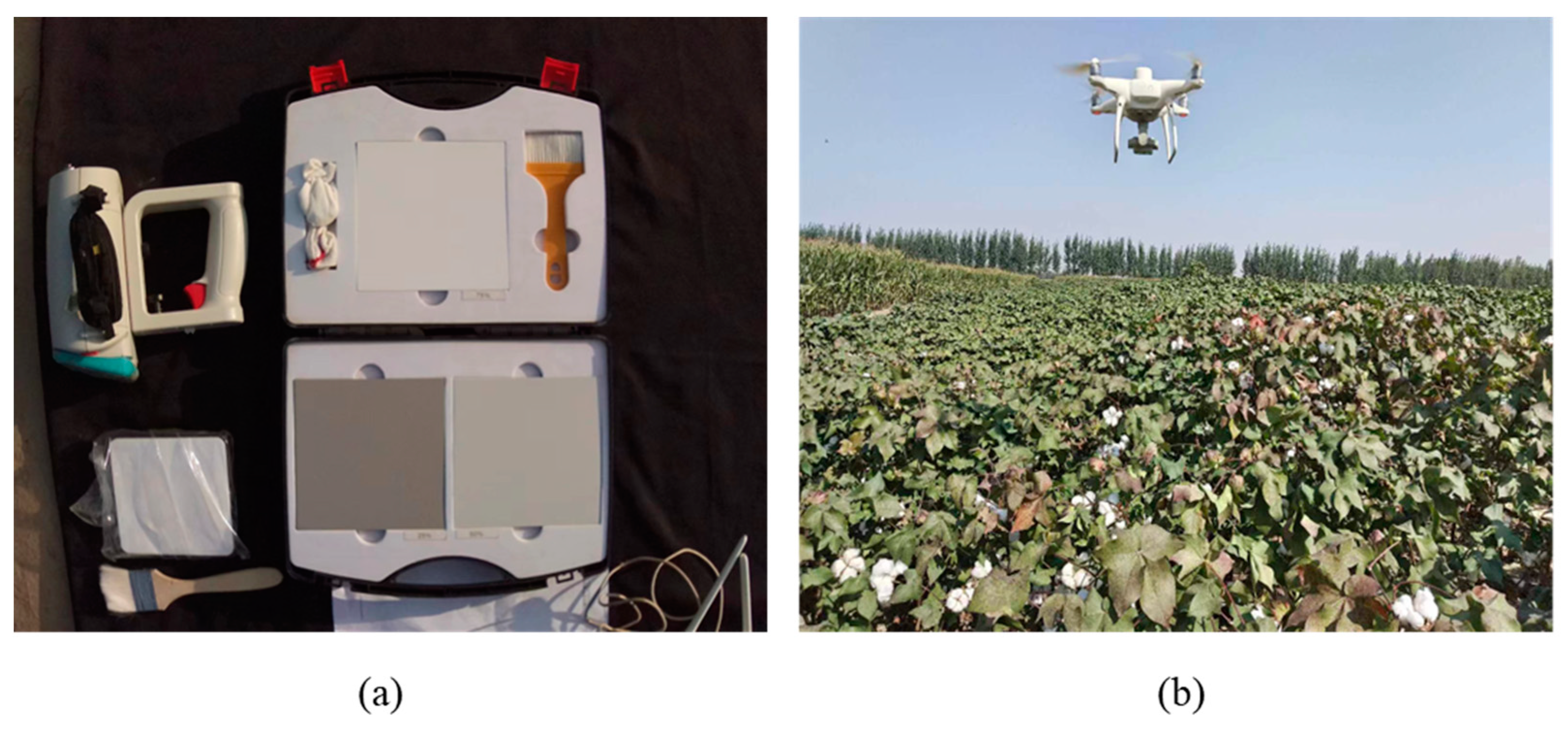 Remotesensing 16 00132 g003