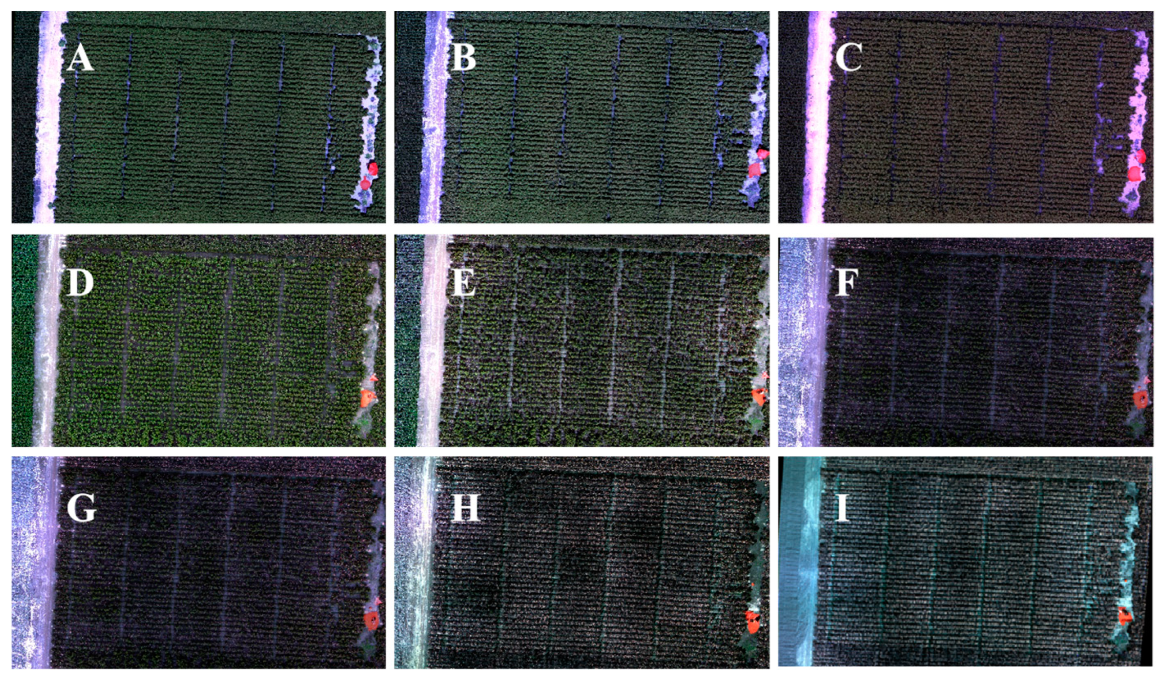 Remotesensing 16 00132 g006