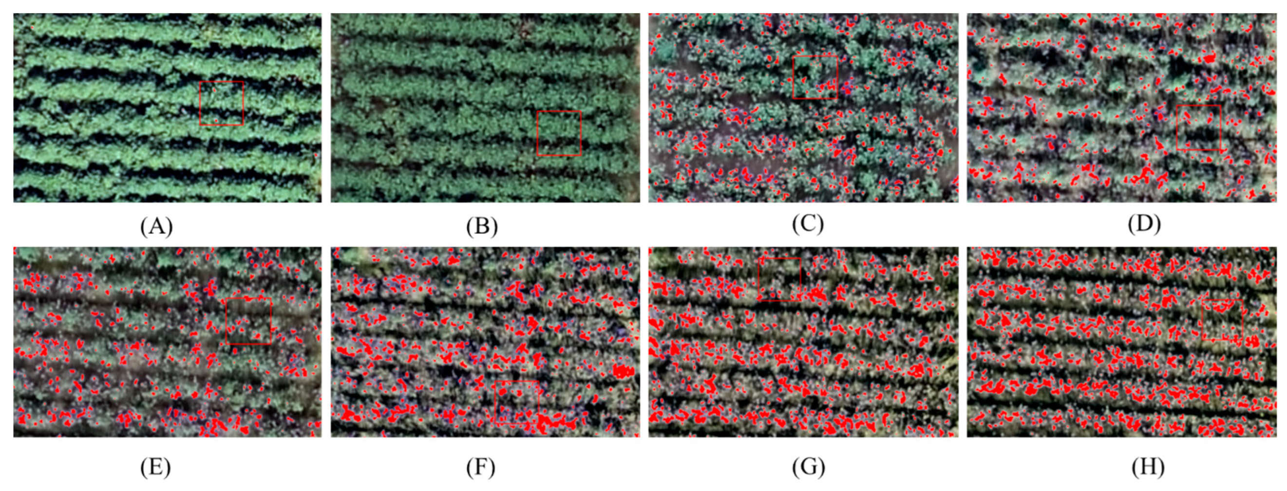 Remotesensing 16 00132 g008