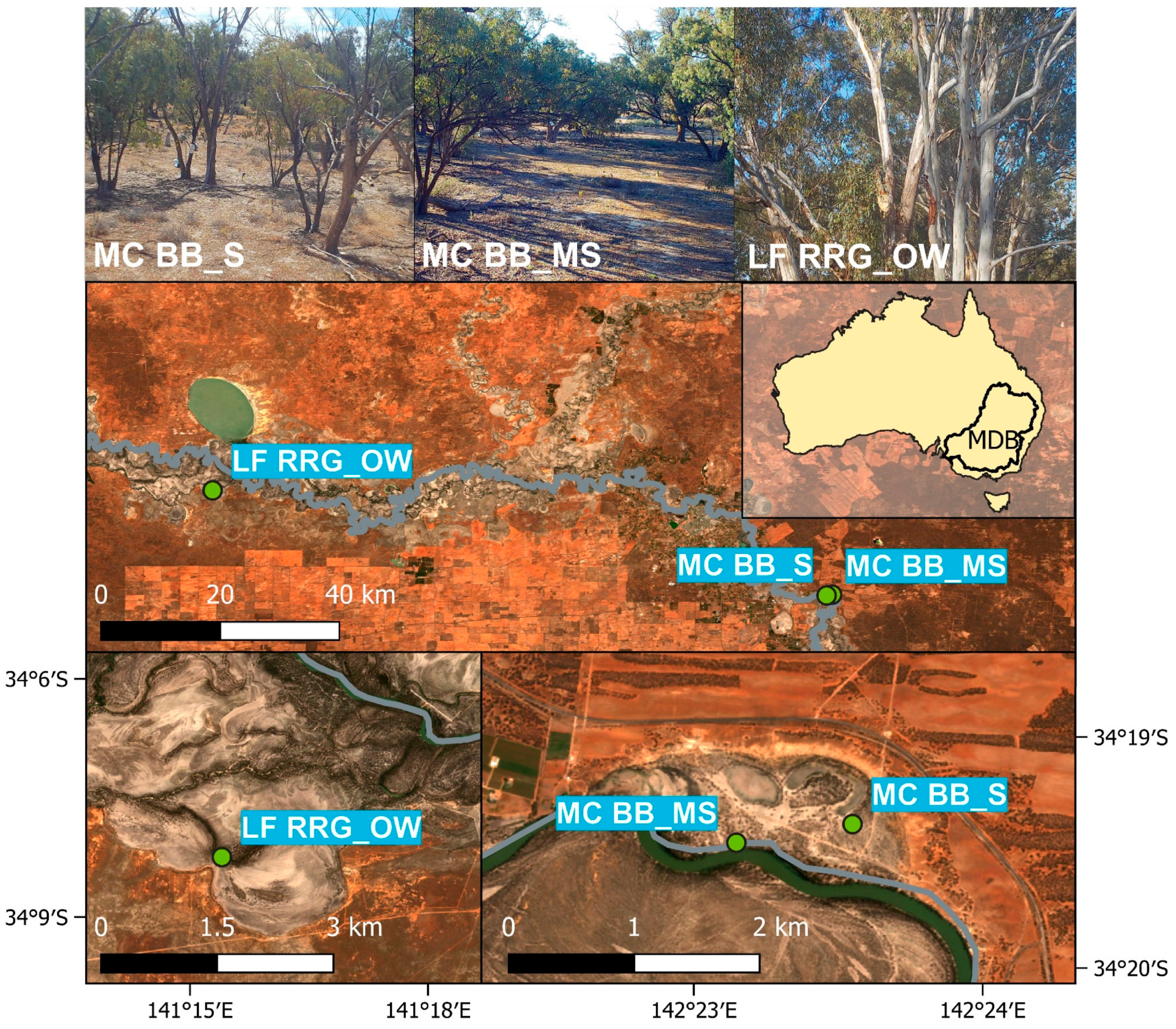 Remotesensing 16 00143 g001