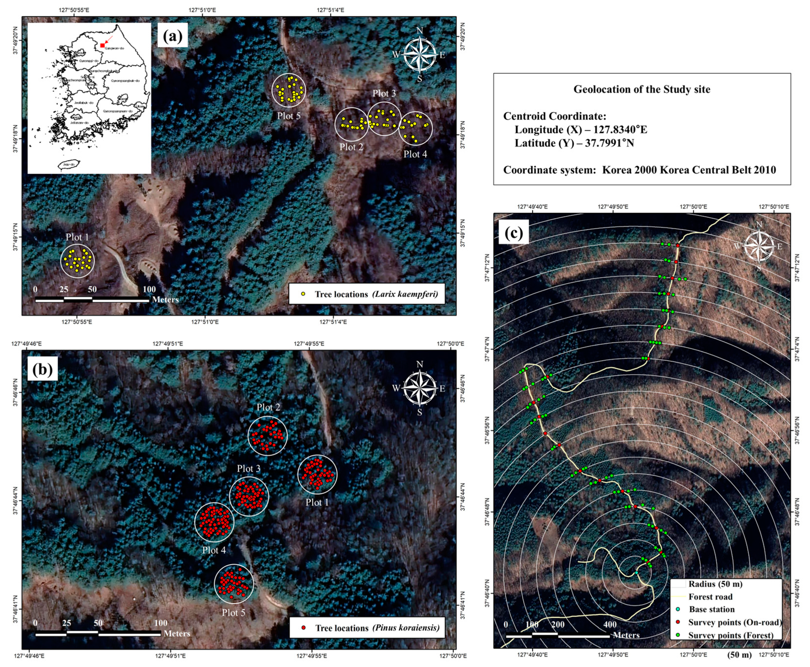 Remotesensing 16 00148 g002