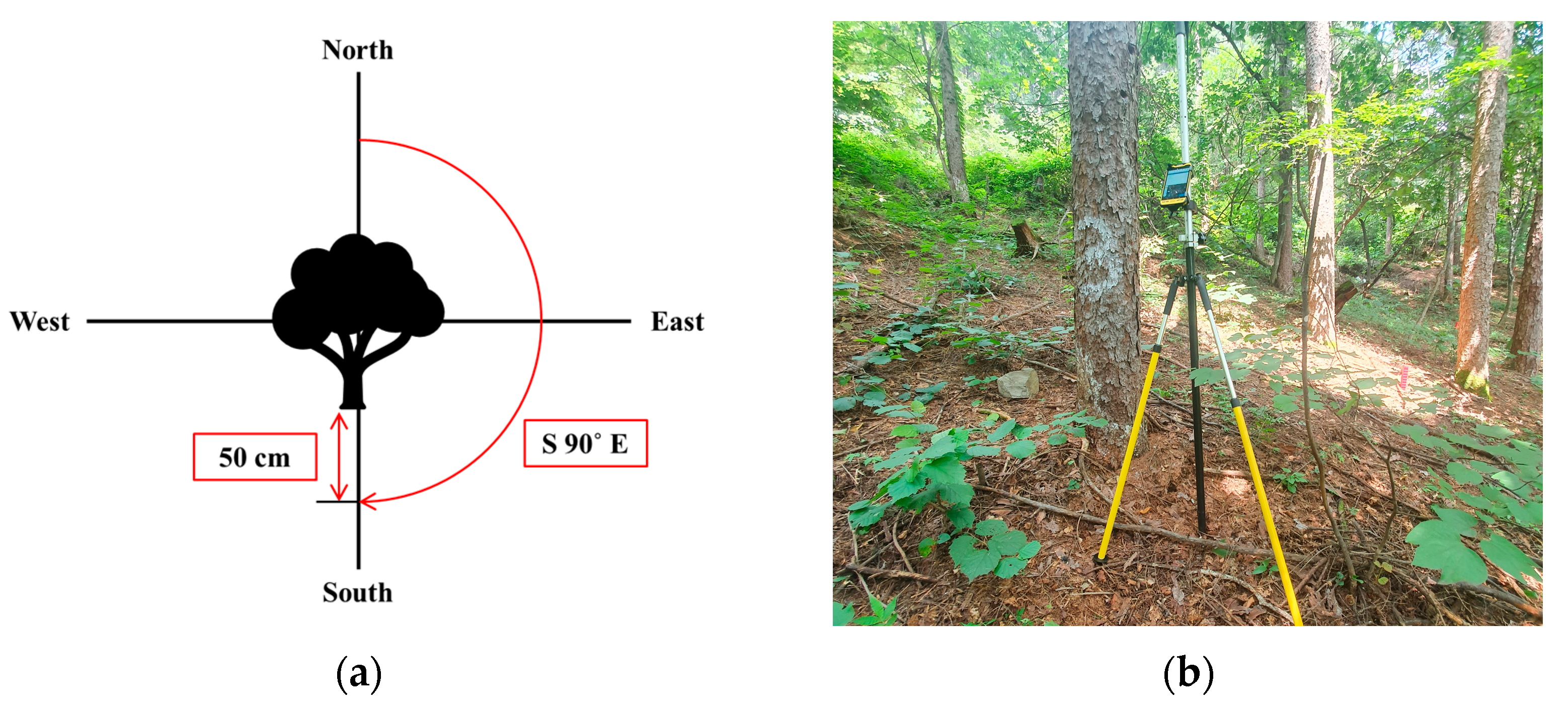 Remotesensing 16 00148 g003