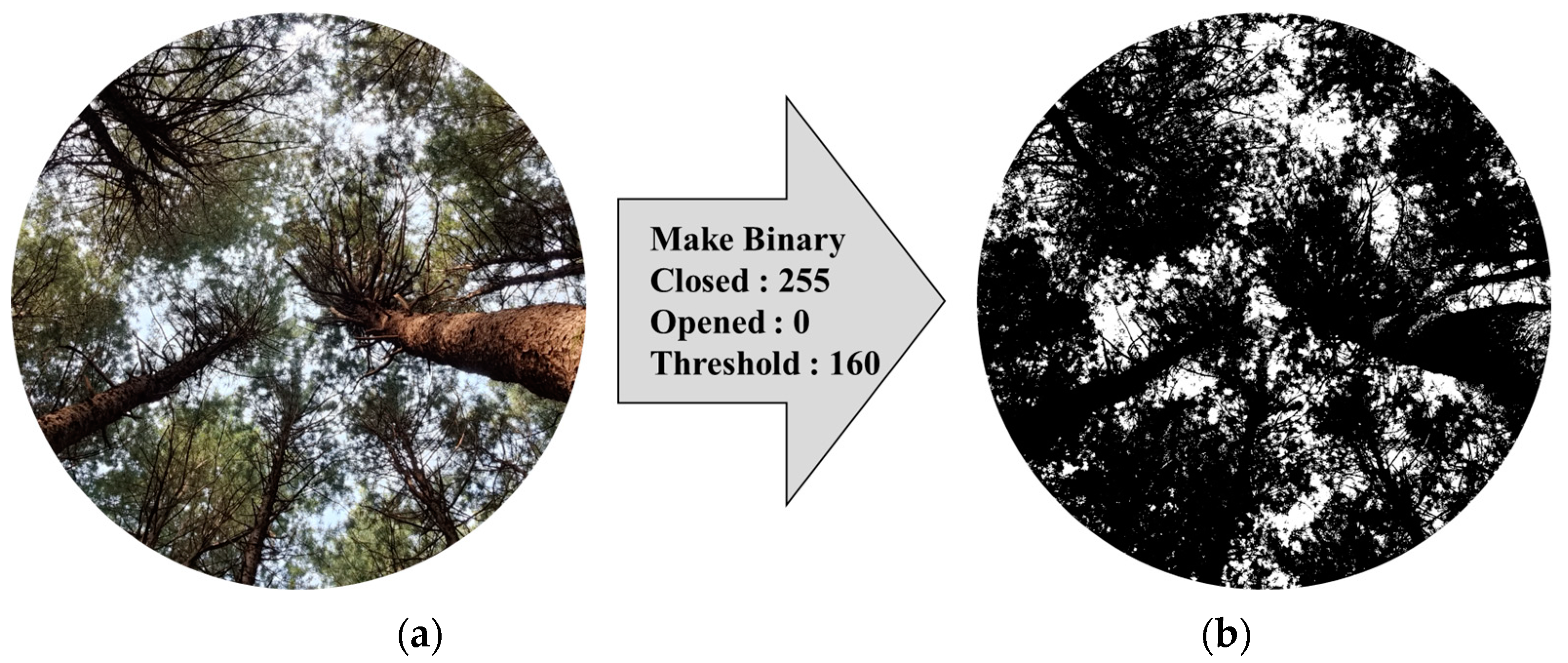 Remotesensing 16 00148 g004