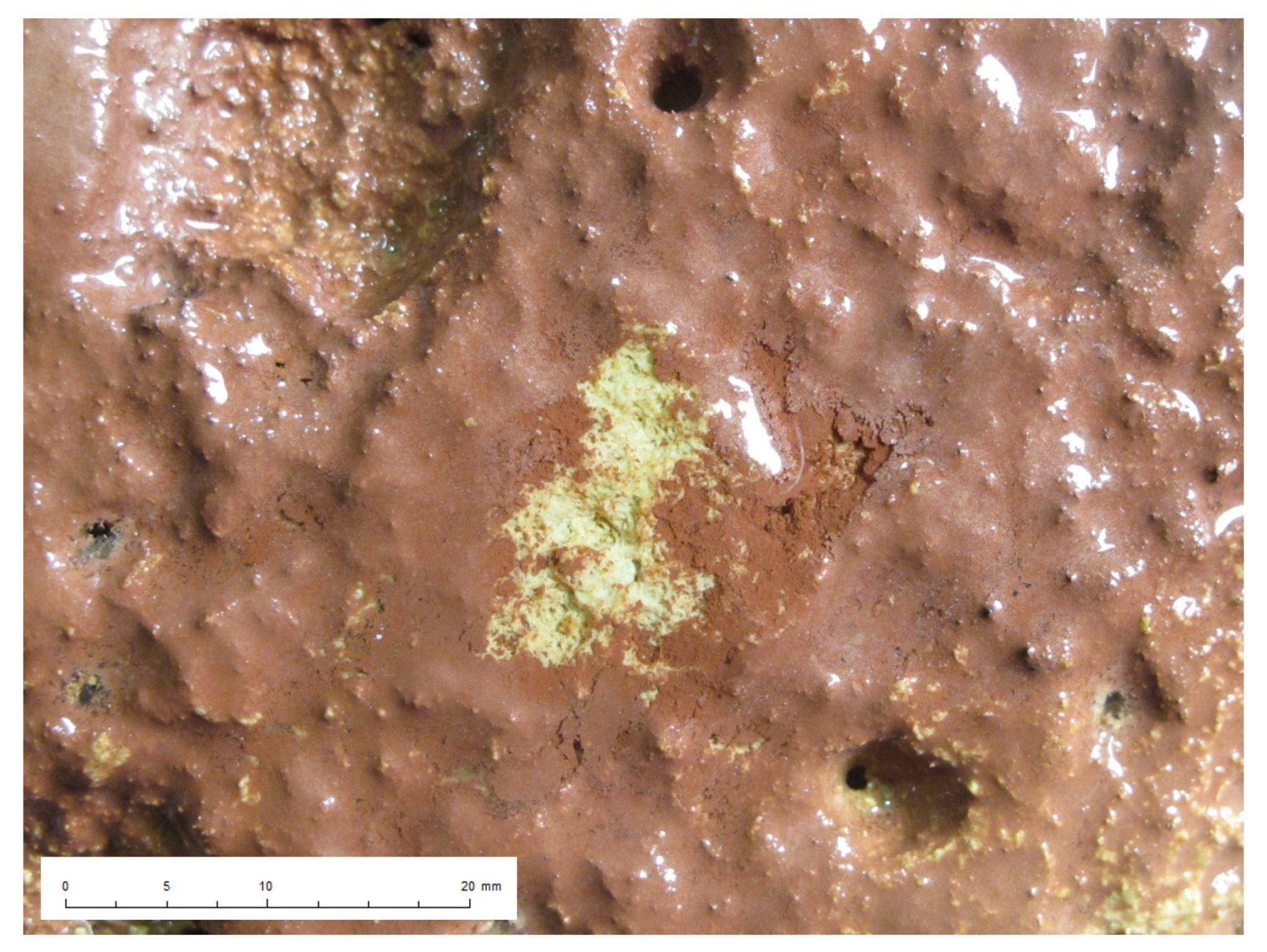 Remotesensing 16 00197 g002 Remotesensing 16 00197 g002