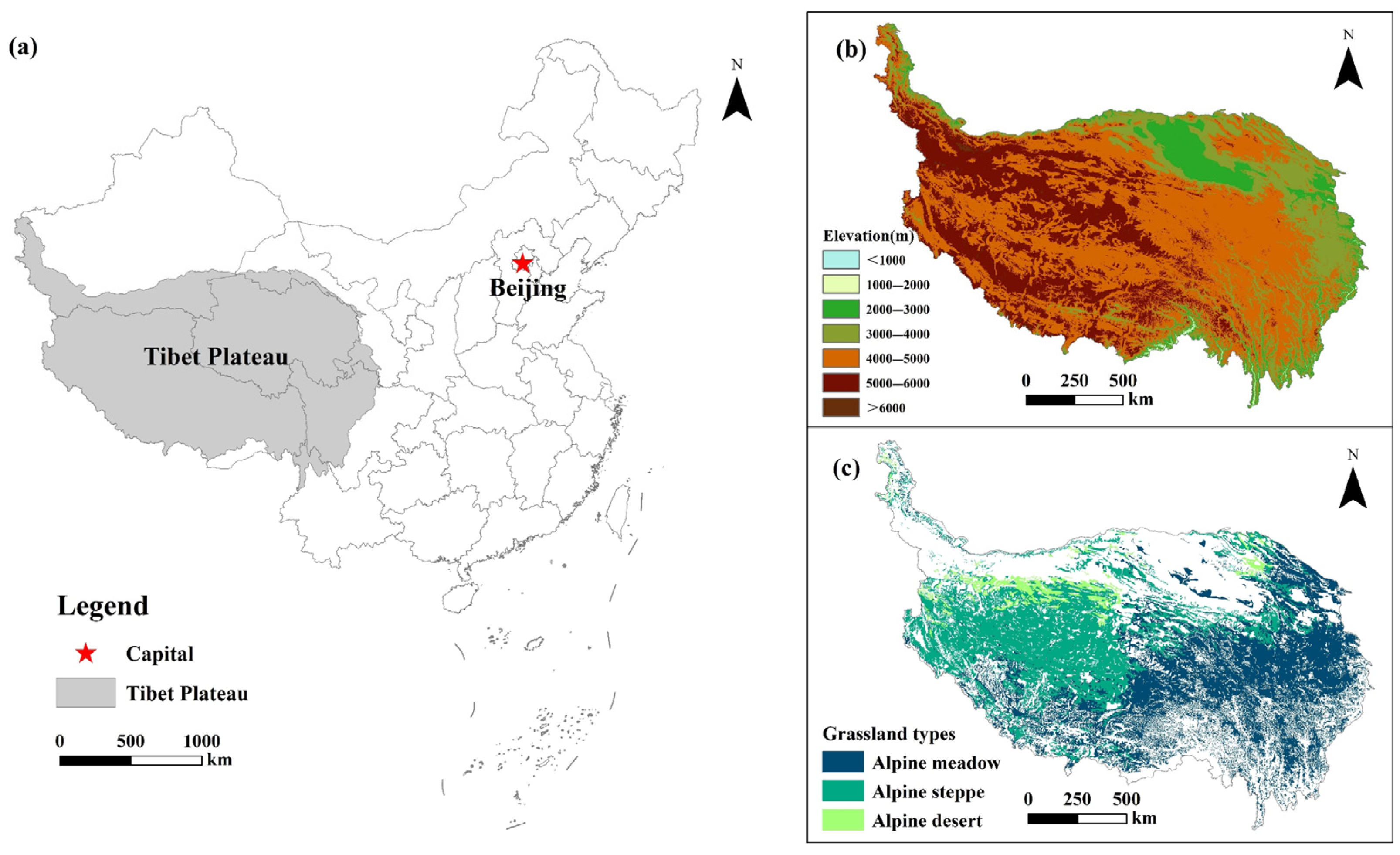 Remotesensing 16 00201 g001