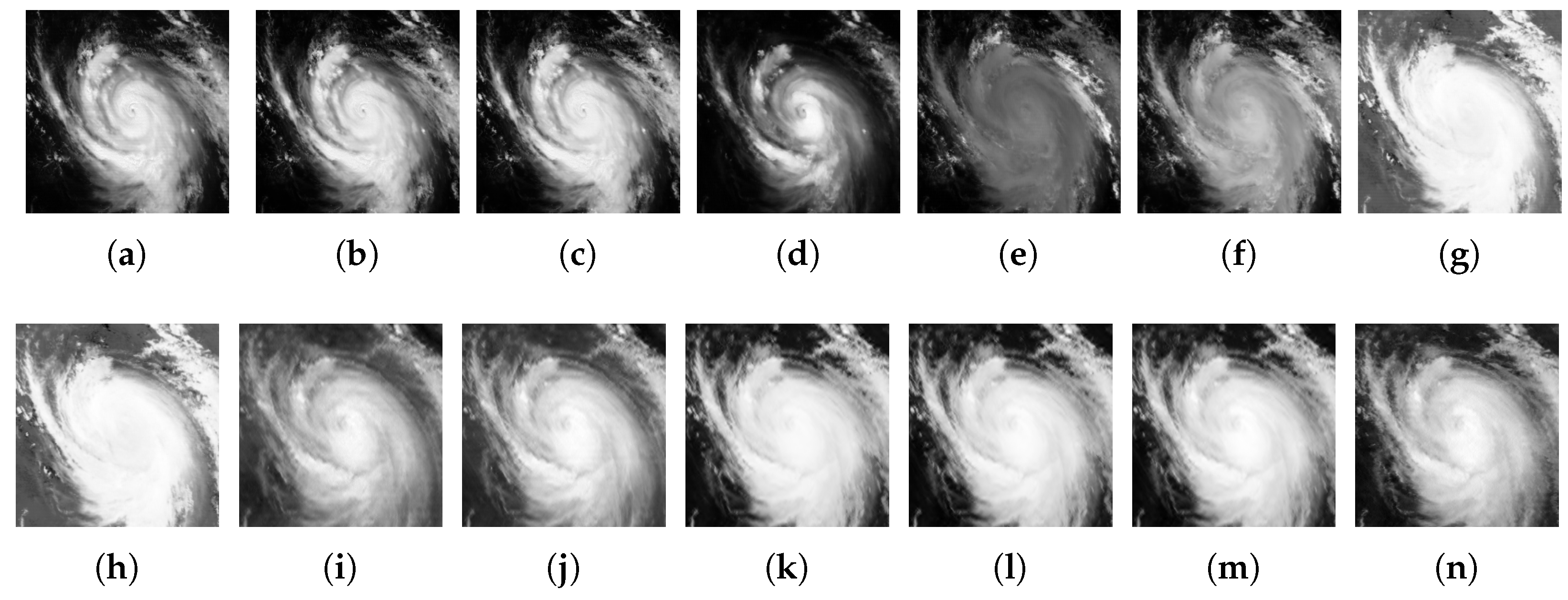 Remotesensing 16 00215 g005