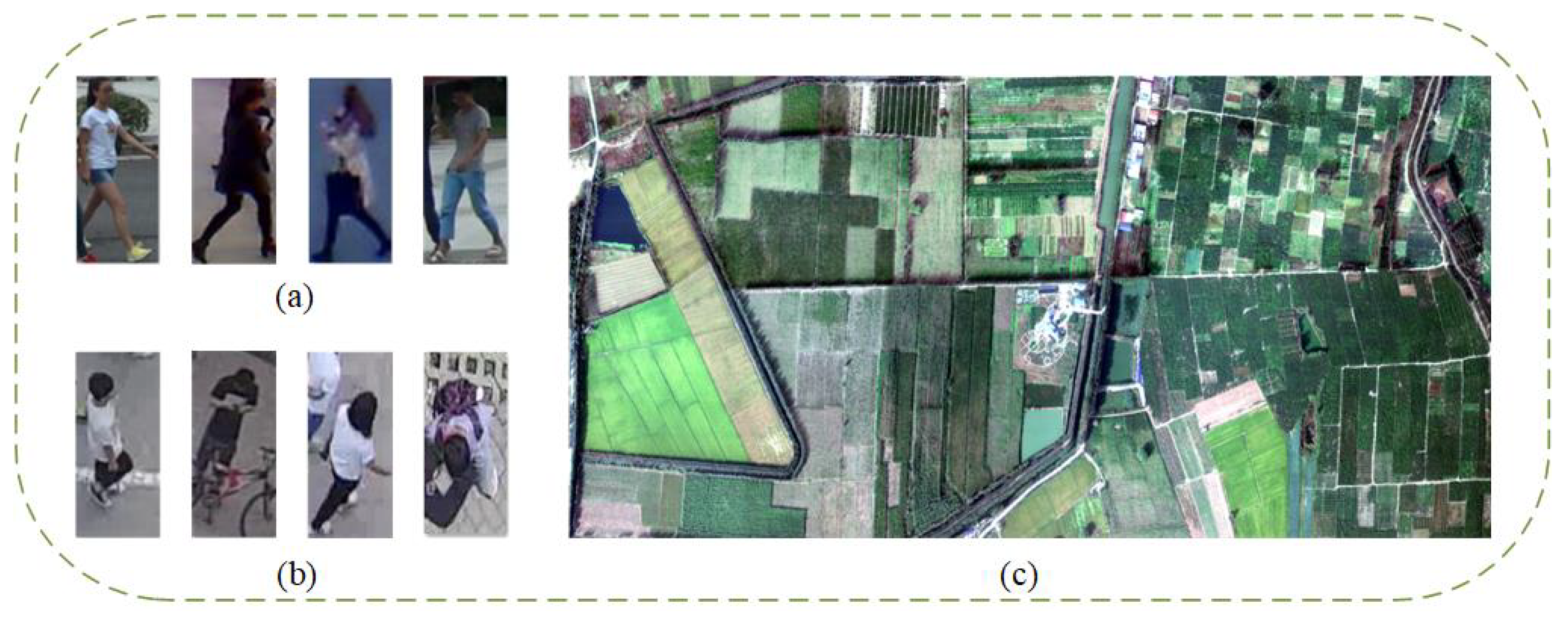 Remotesensing 16 00268 g007