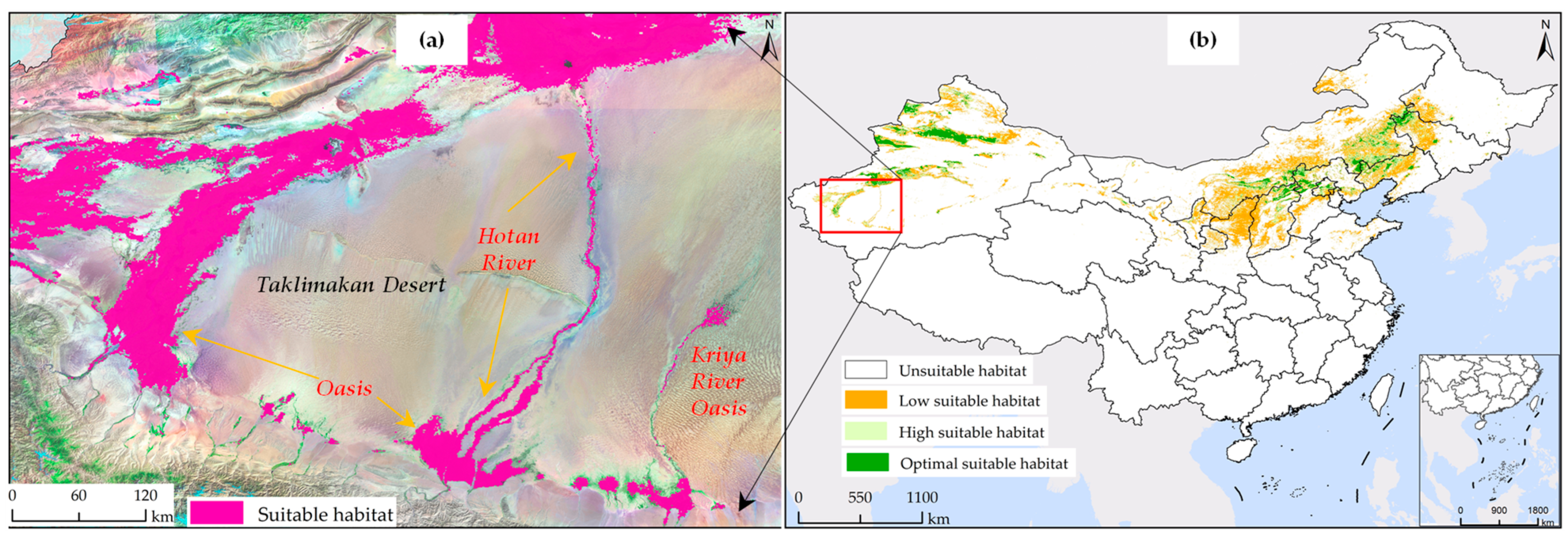 Remotesensing 16 00271 g008