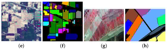 Remotesensing 16 00325 g008b