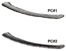 Remotesensing 16 00331 i001