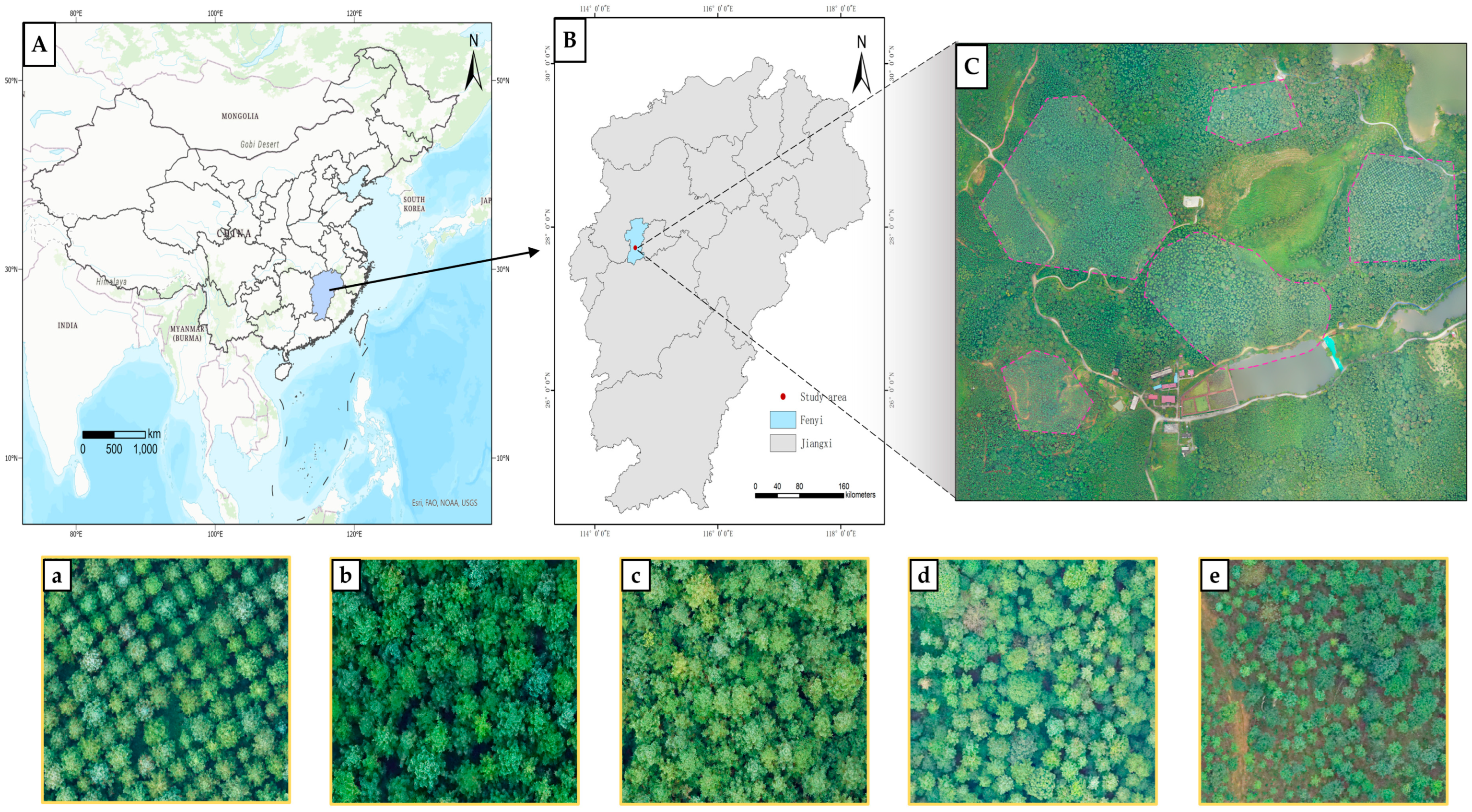 Remotesensing 16 00335 g002 Remotesensing 16 00335 g002