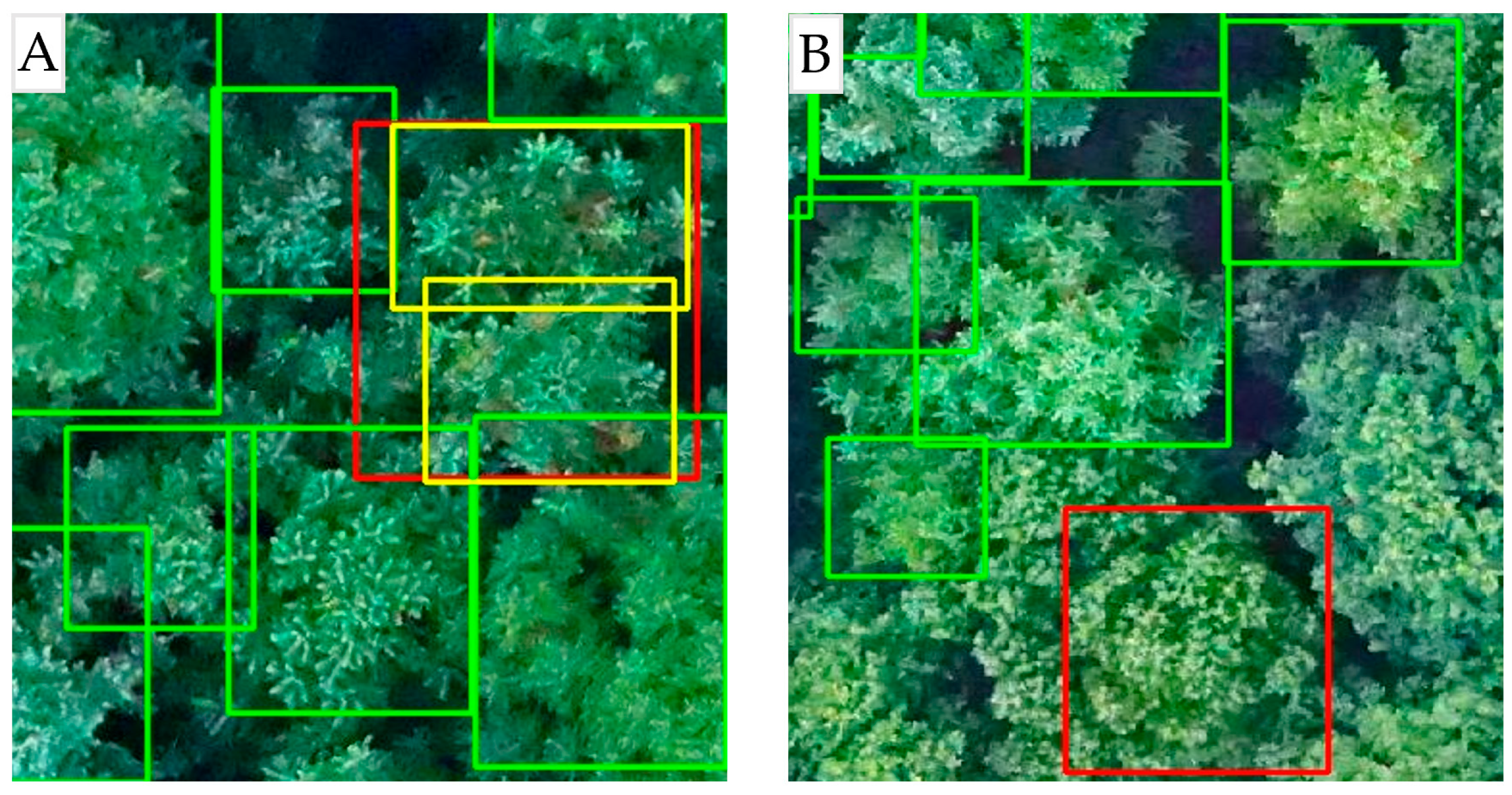 Remotesensing 16 00335 g013 Remotesensing 16 00335 g013