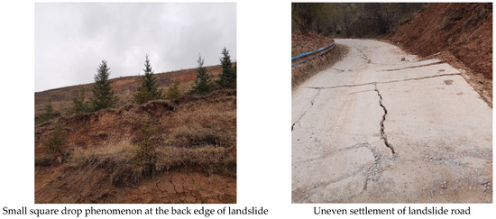 Remotesensing 16 00345 g008b