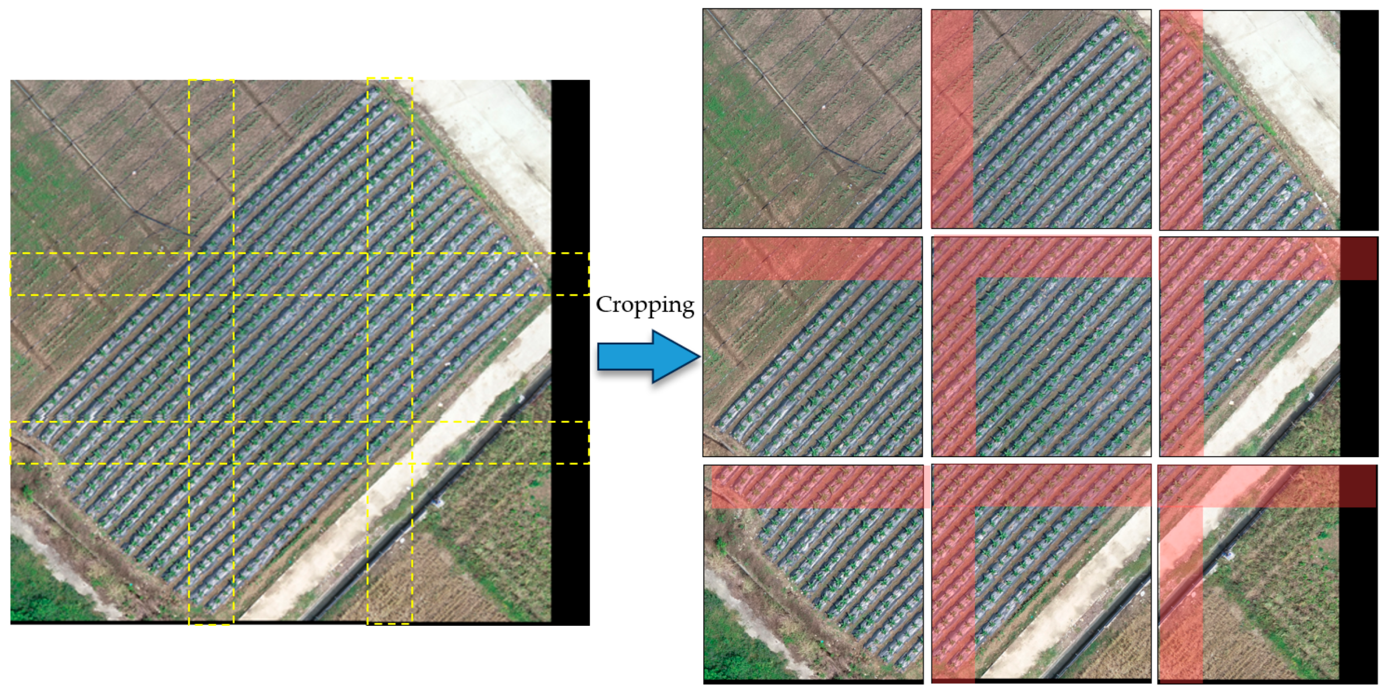 Remotesensing 16 00359 g005