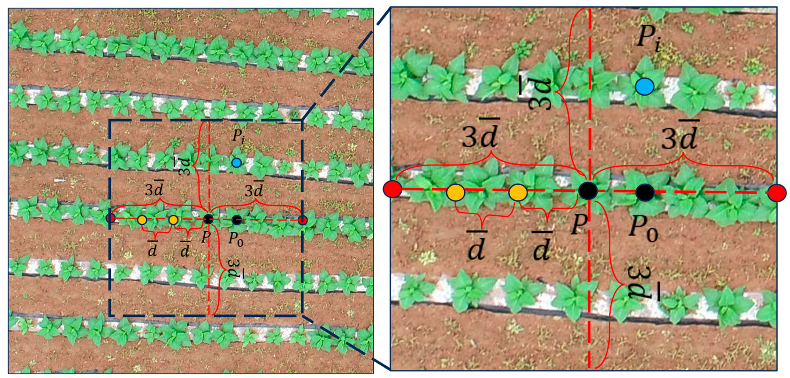 Remotesensing 16 00359 g007