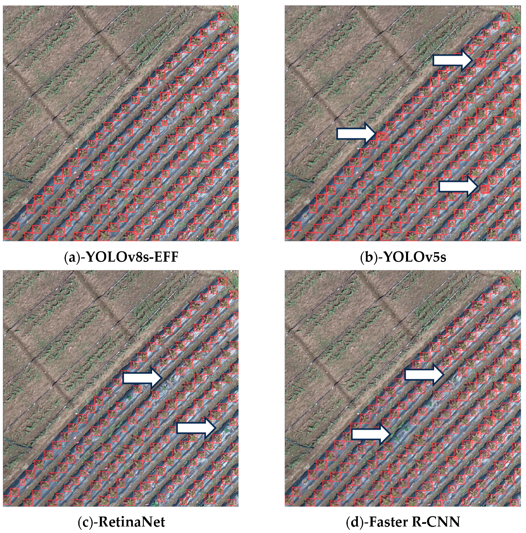 Remotesensing 16 00359 g009