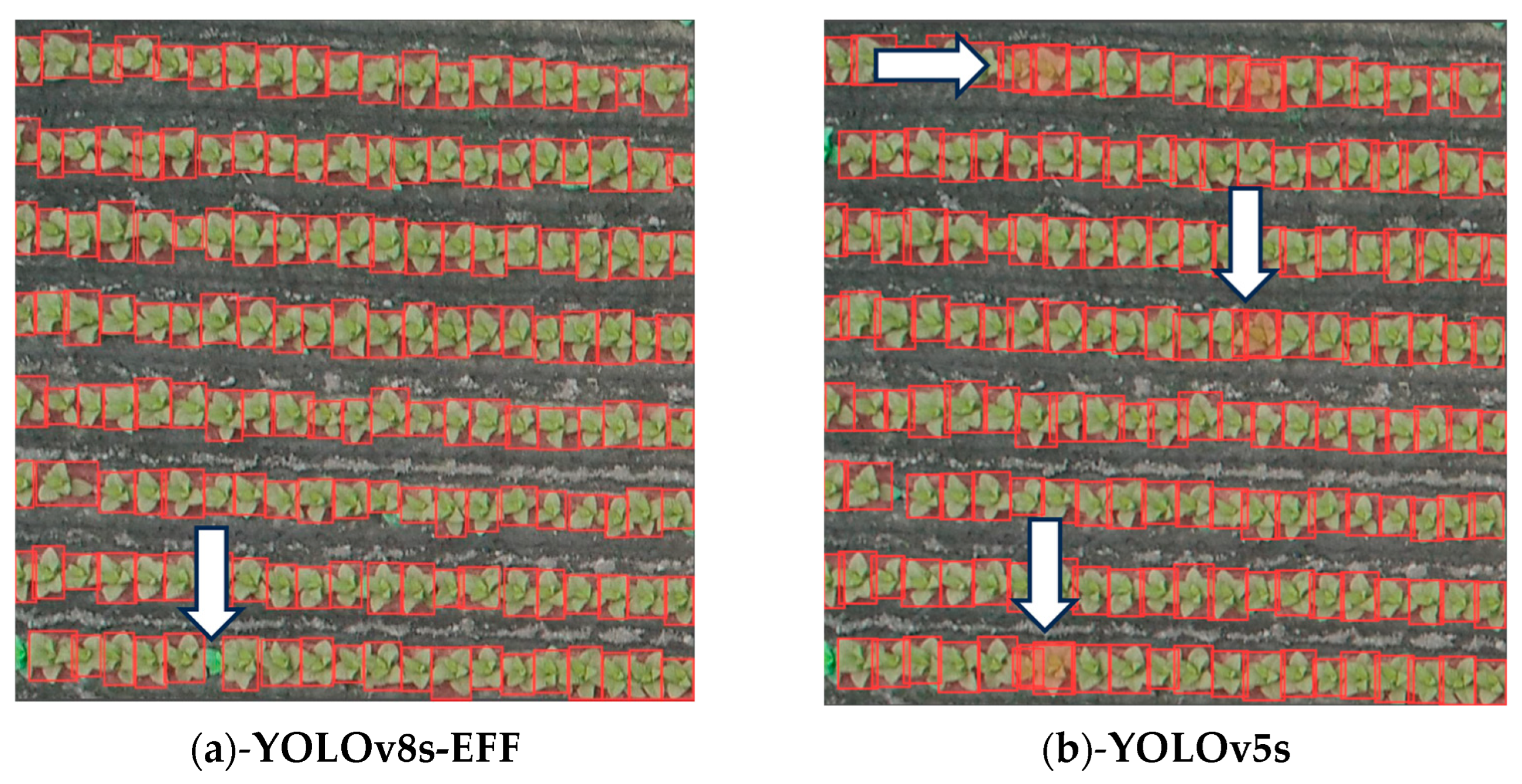 Remotesensing 16 00359 g010a