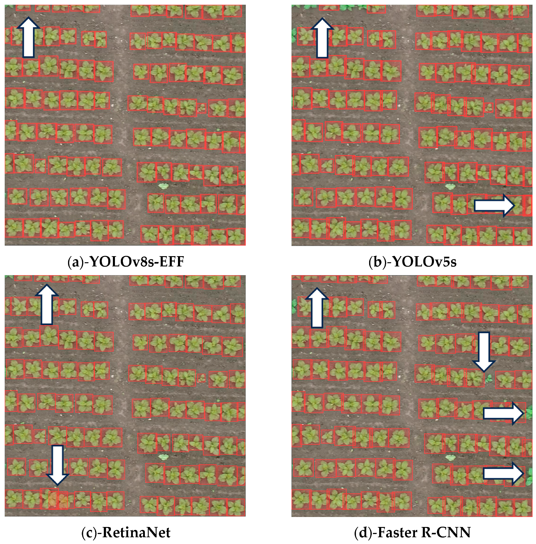 Remotesensing 16 00359 g011