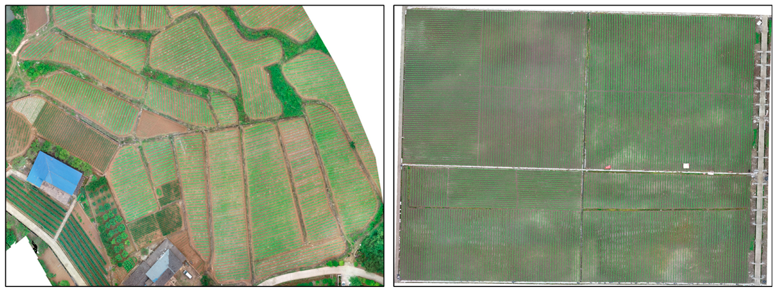 Remotesensing 16 00359 g016a